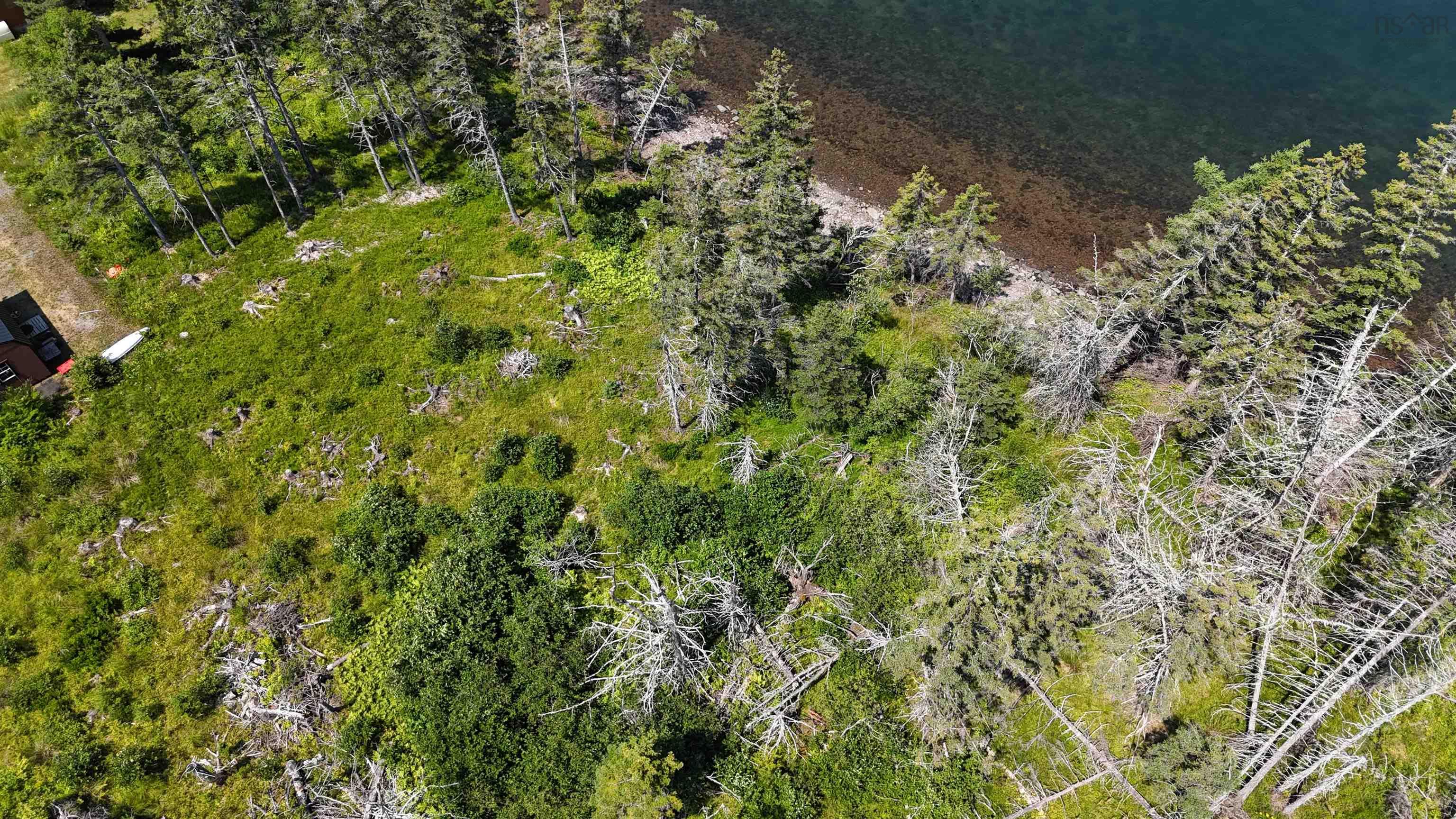 $99,000.00: West Bay Highway, Dundee