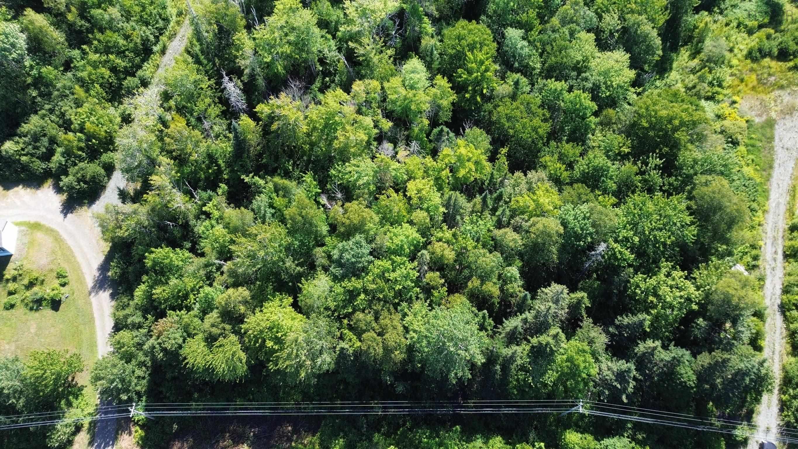 $31,000.00: Highway 245, Maryvale