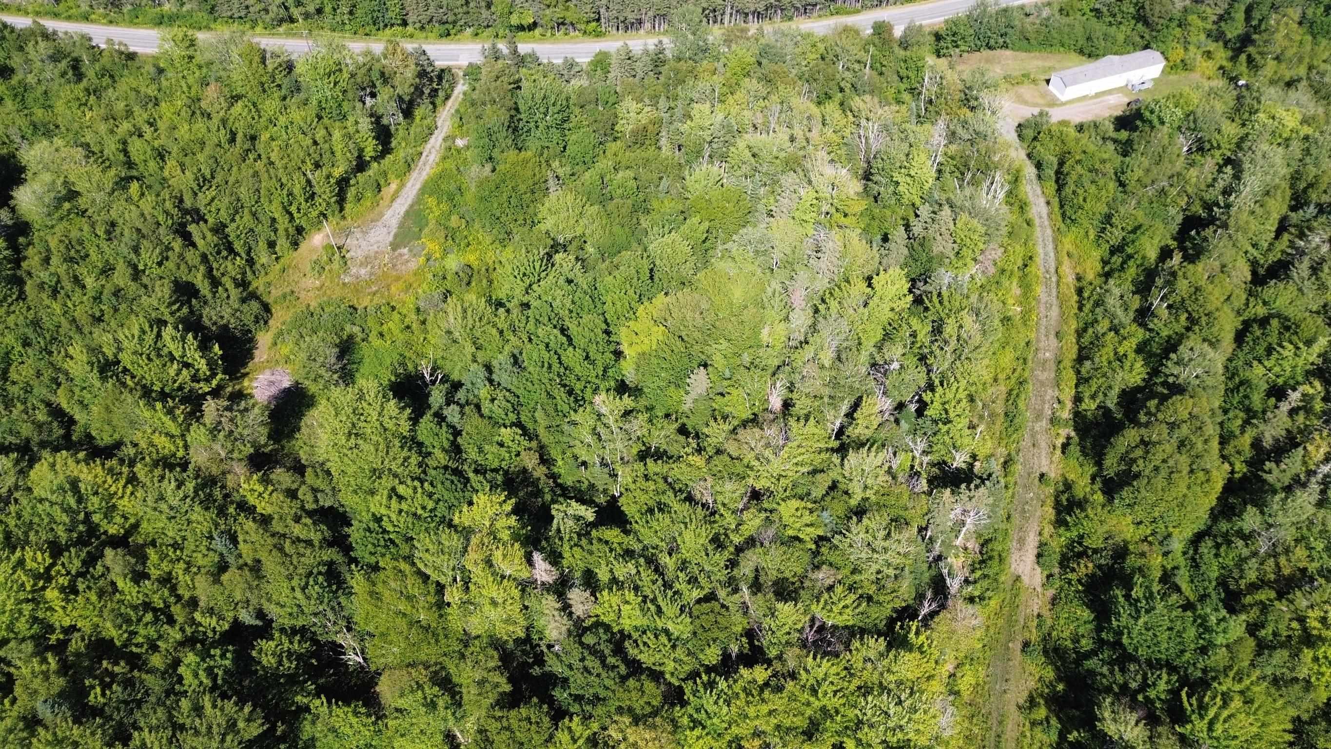 $31,000.00: Highway 245, Maryvale