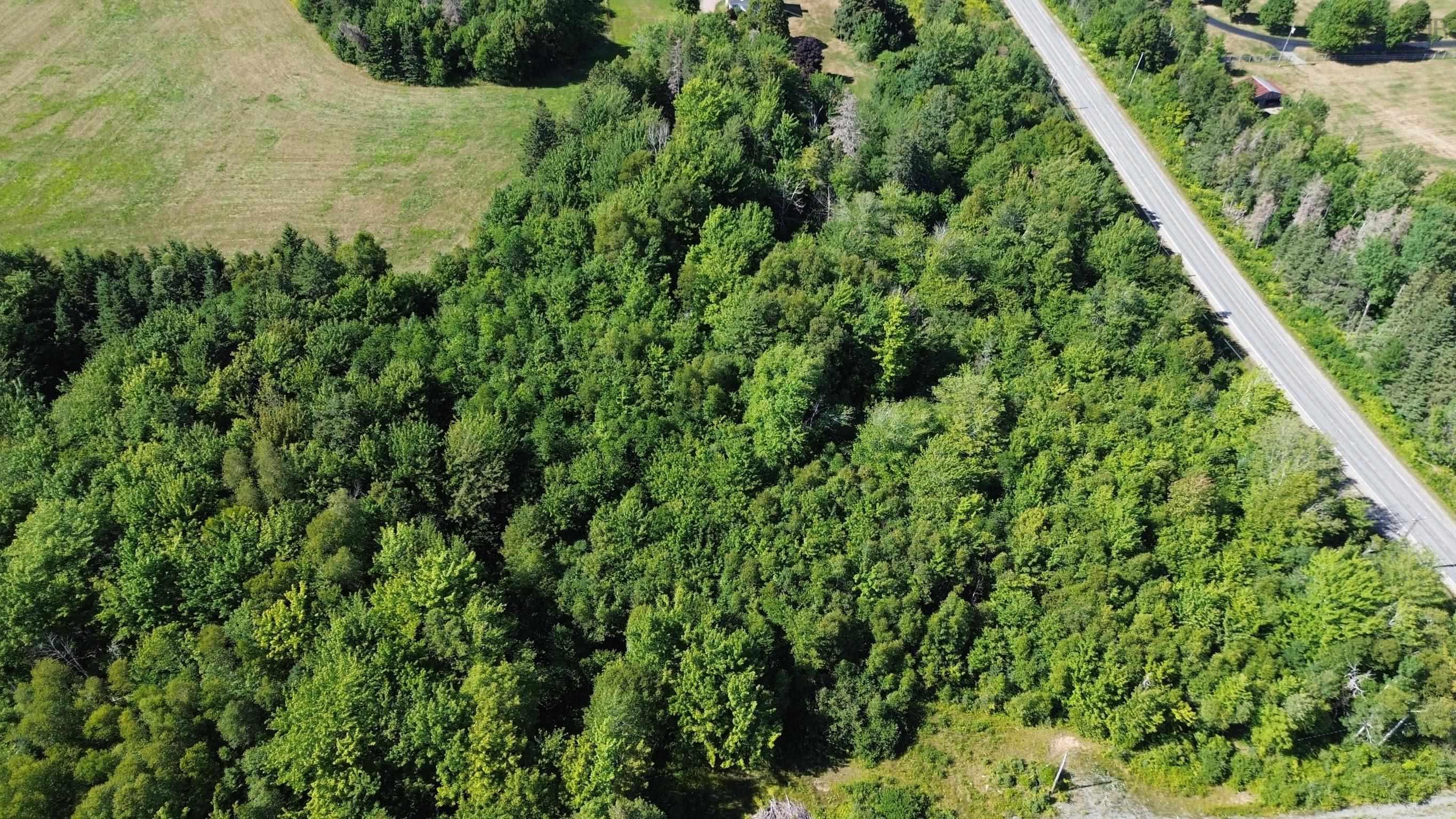 $31,000.00: Highway 245, Maryvale