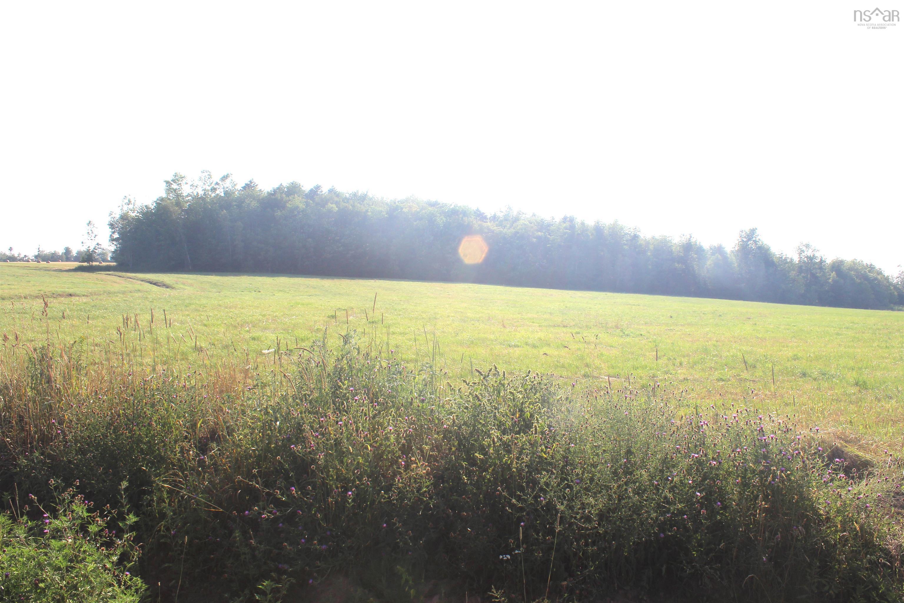 $49,900.00: Lot C Weatherhead Road, Upper Rawdon