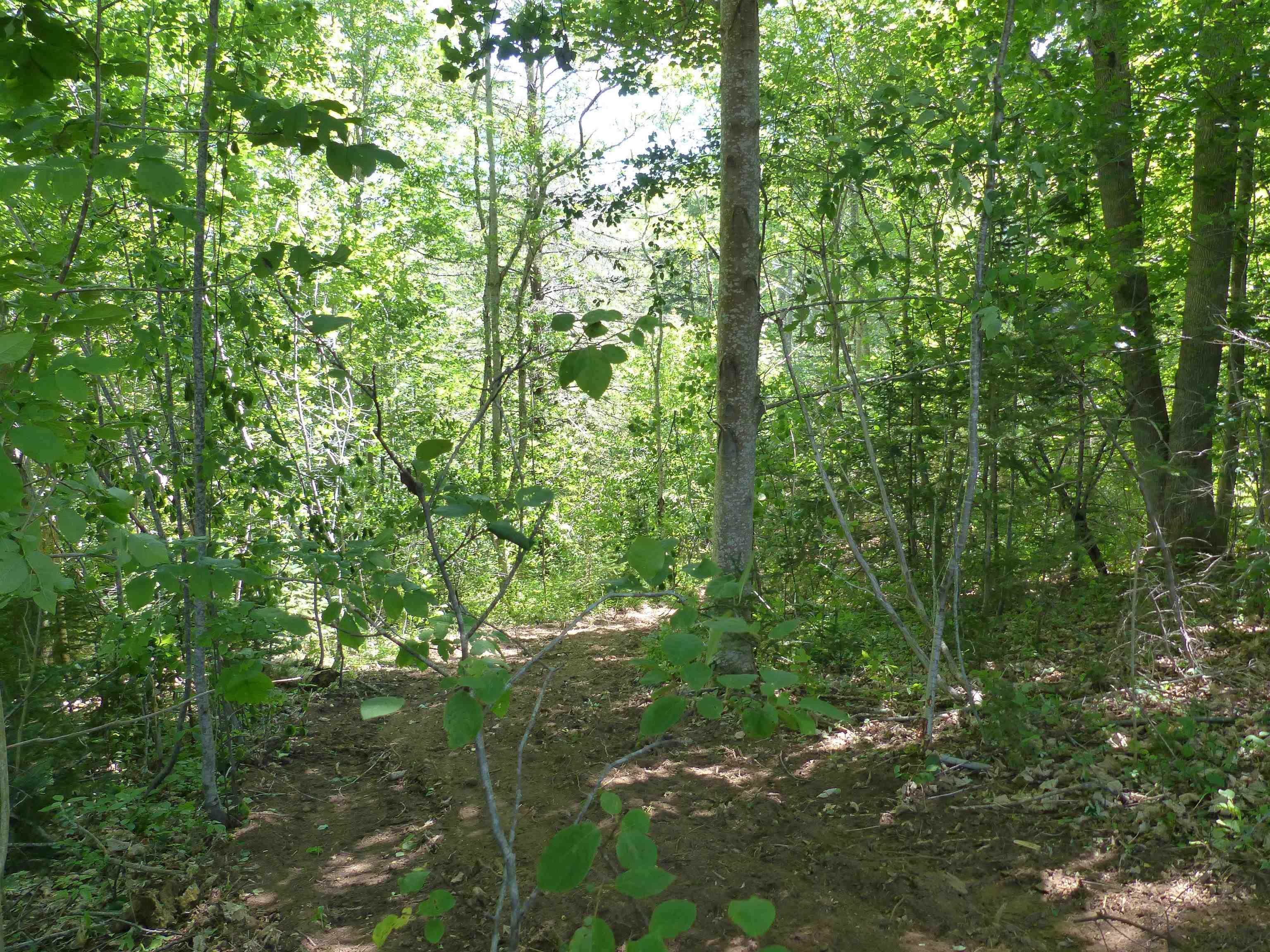 $129,900.00: Lot 2 Highway 1, Clementsport