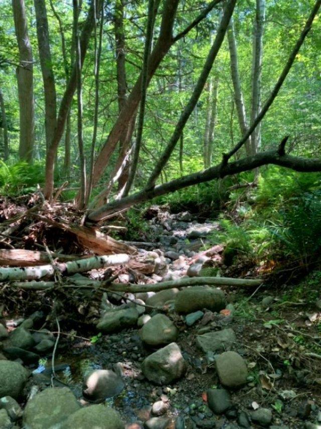 $129,900.00: Lot 2 Highway 1, Clementsport