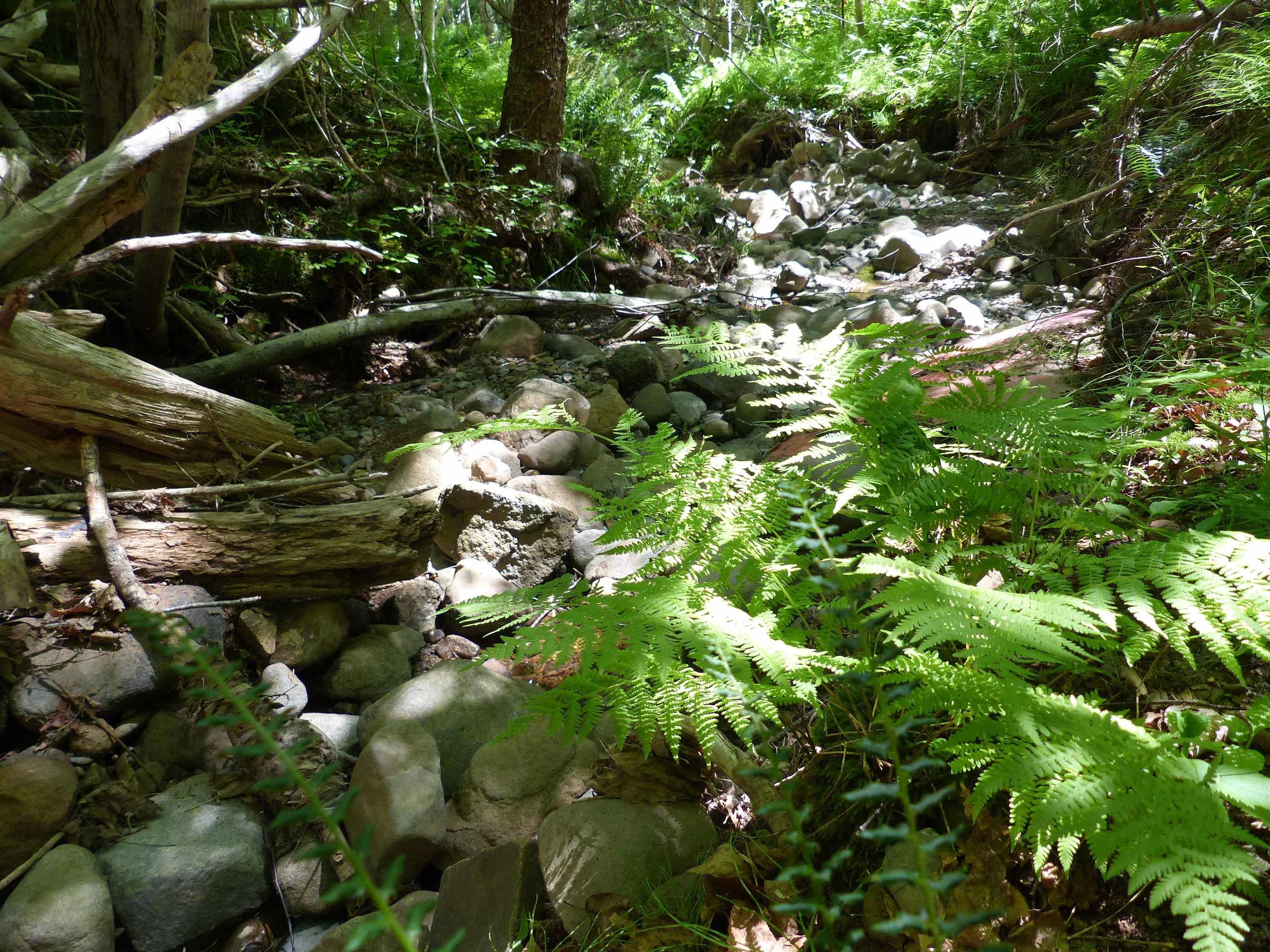 $129,900.00: Lot 2 Highway 1, Clementsport