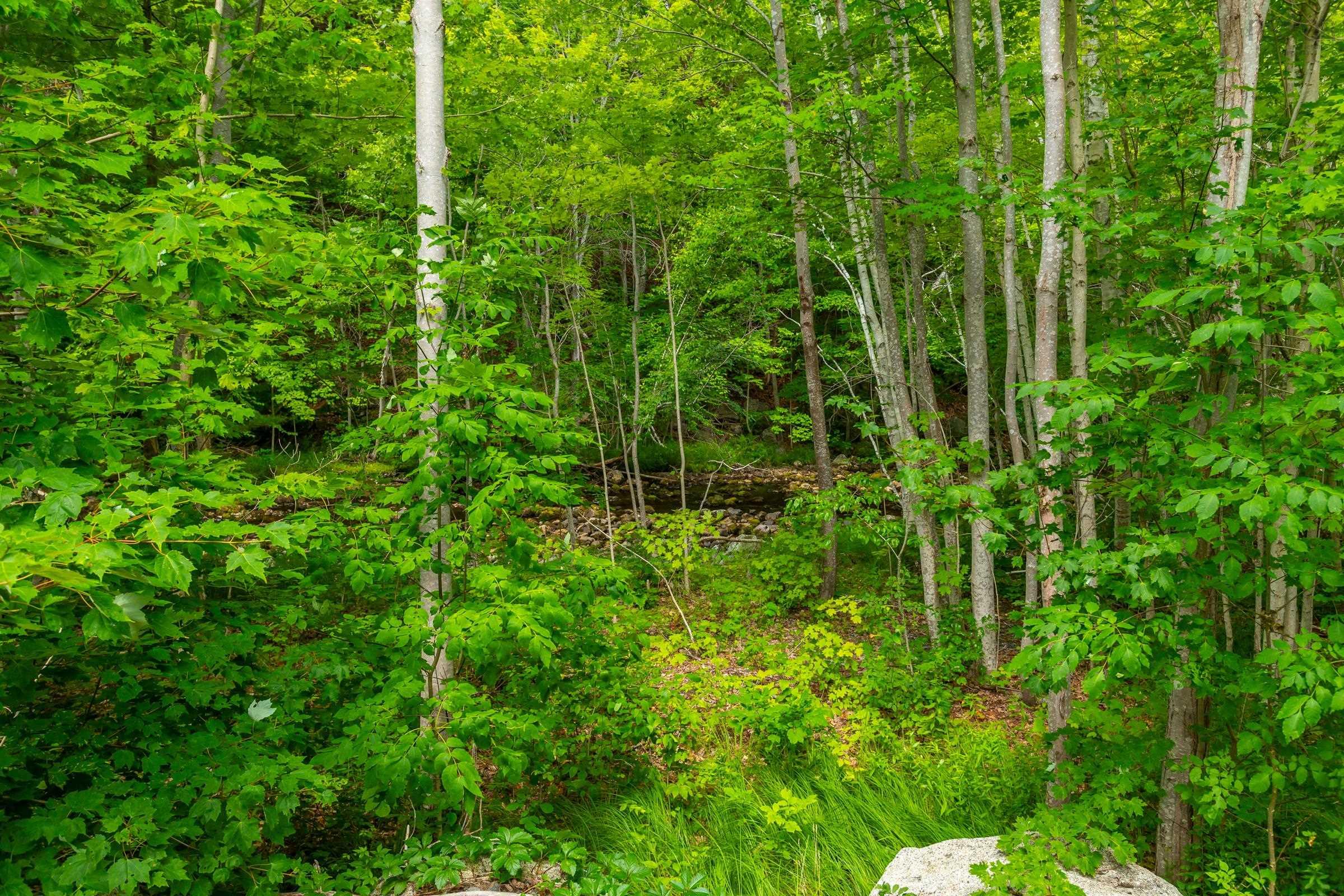 $120,000.00: Lot 1438 River Road, Bear River