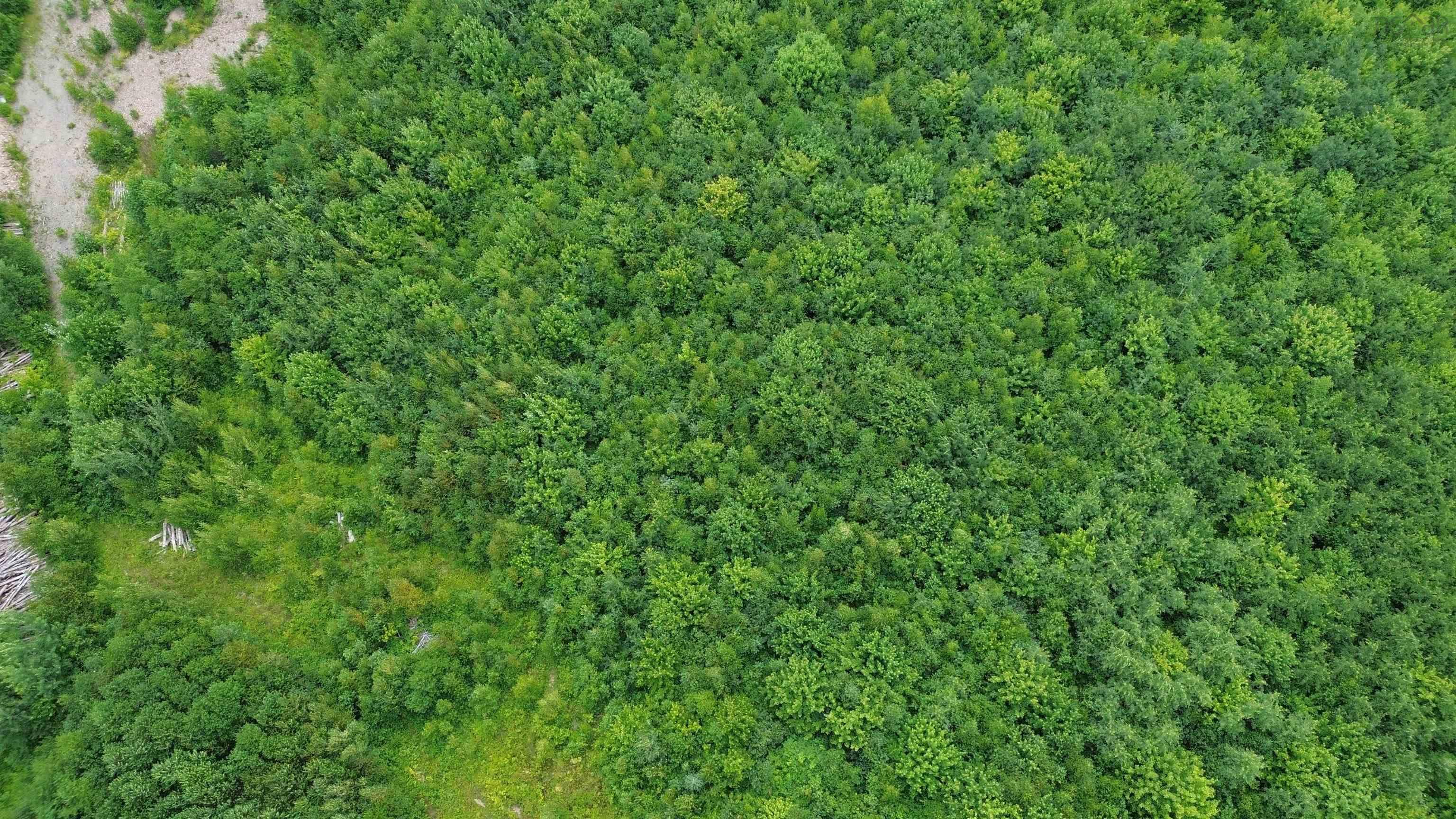 $69,000.00: Lot 7 Peck Meadow Road, Greenfield