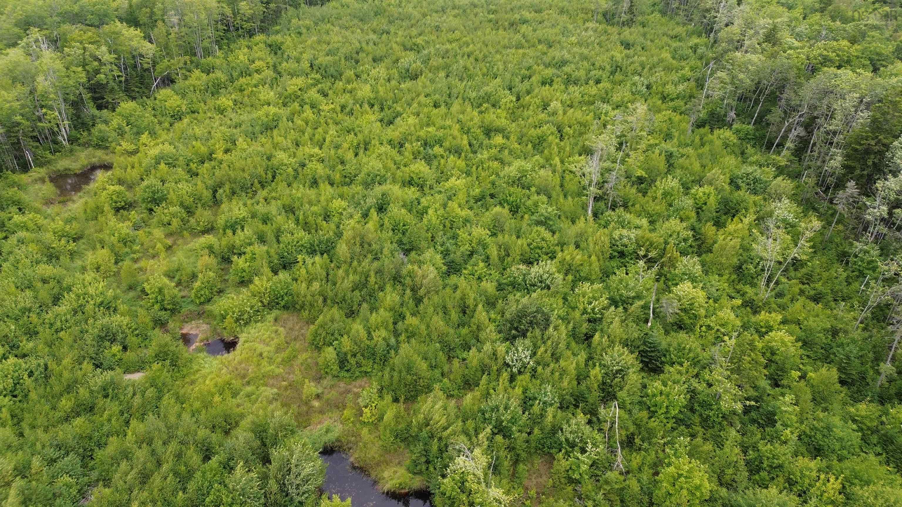 $69,000.00: Lot 7 Peck Meadow Road, Greenfield