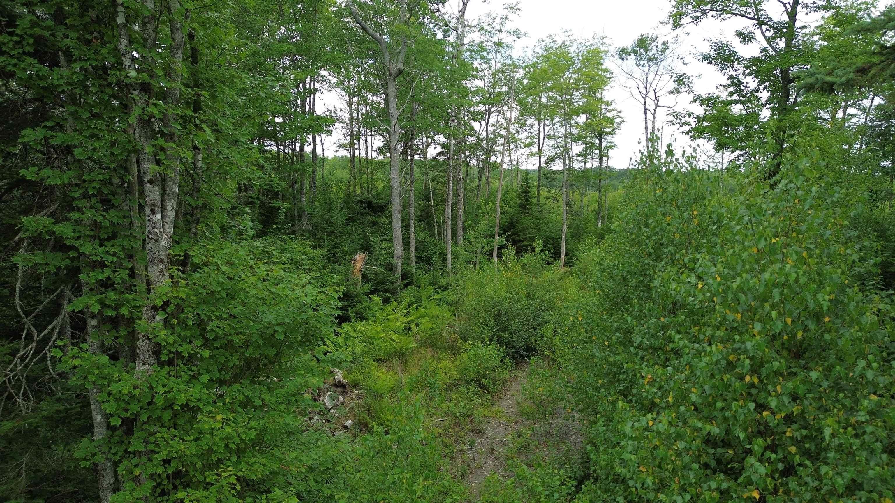 $69,000.00: Lot 7 Peck Meadow Road, Greenfield