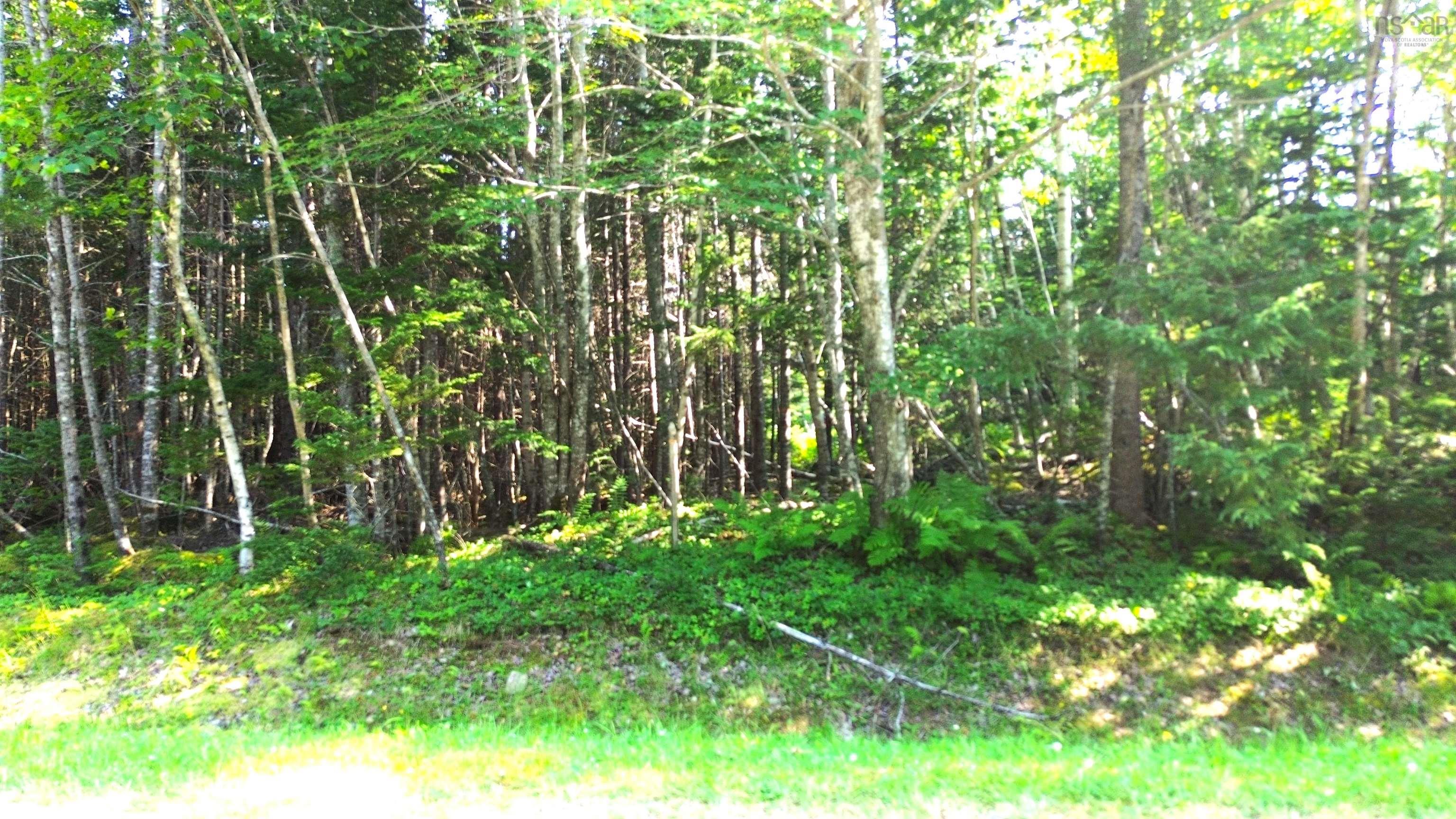 $18,900.00: Lot 40A Mackenzie Point Road, Mackenzie Point