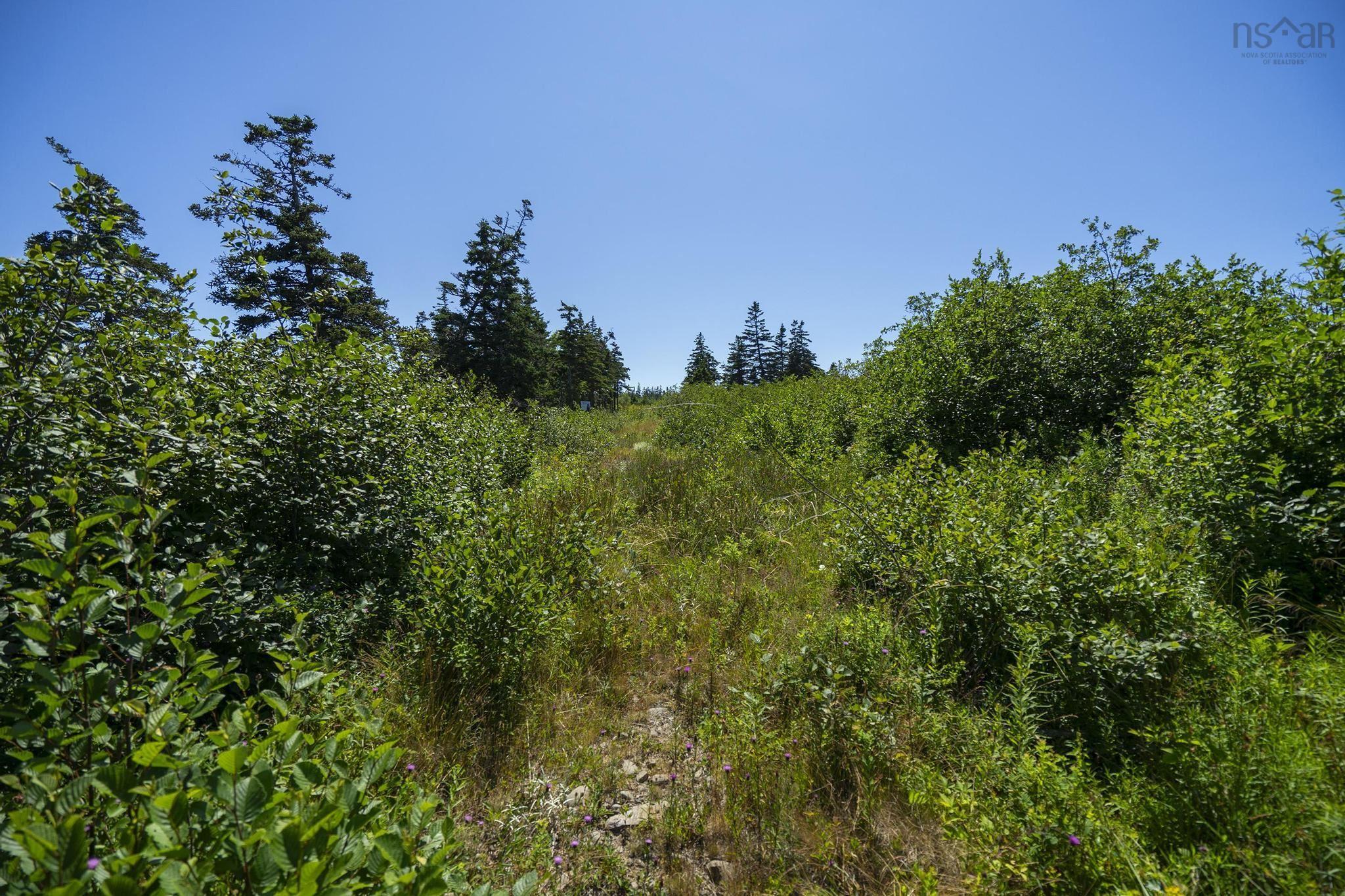 $35,000.00: Lot 1 South View Drive, Freeport