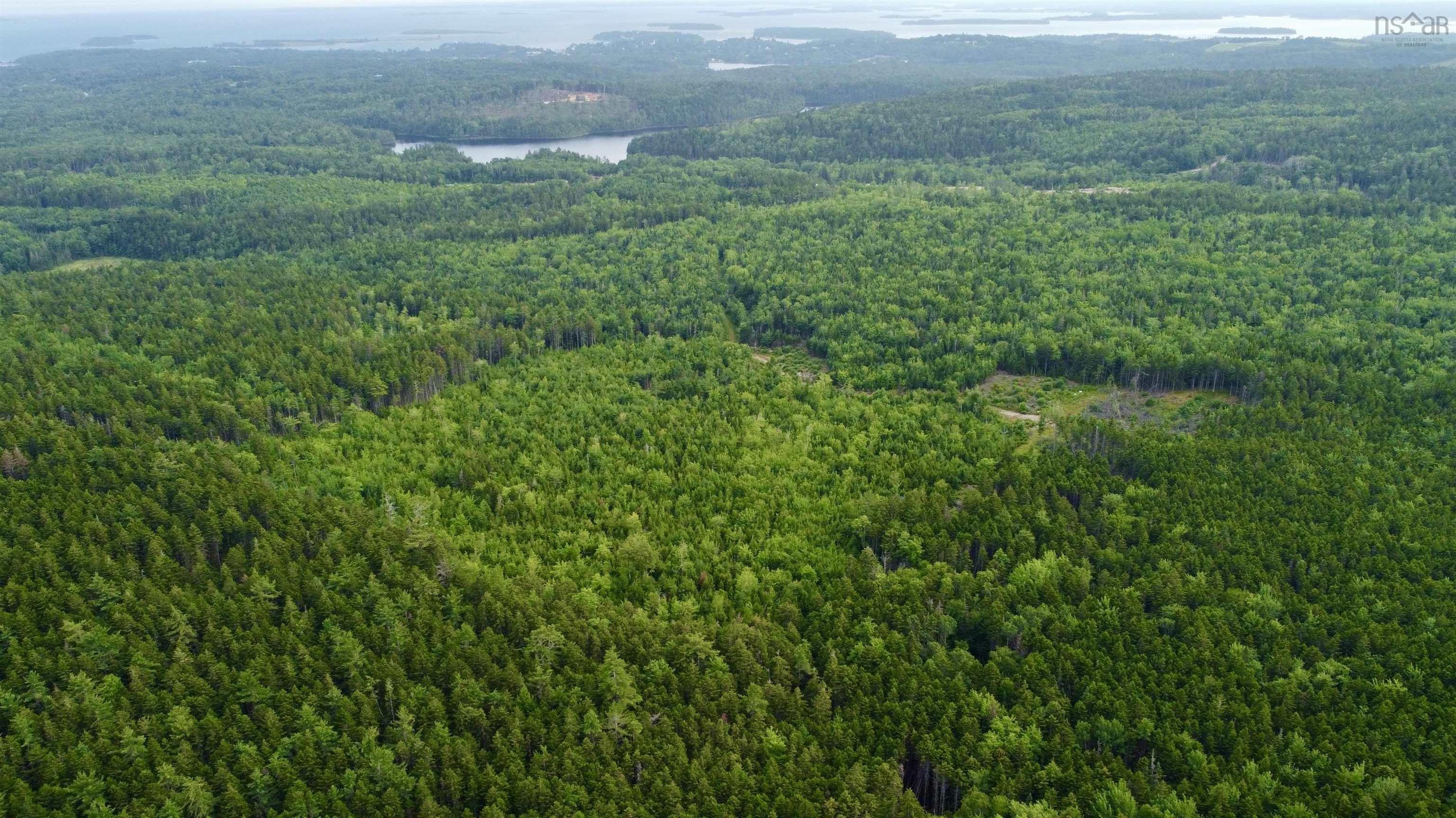 $79,000.00: 15 Acres Duncan Road, East Chester