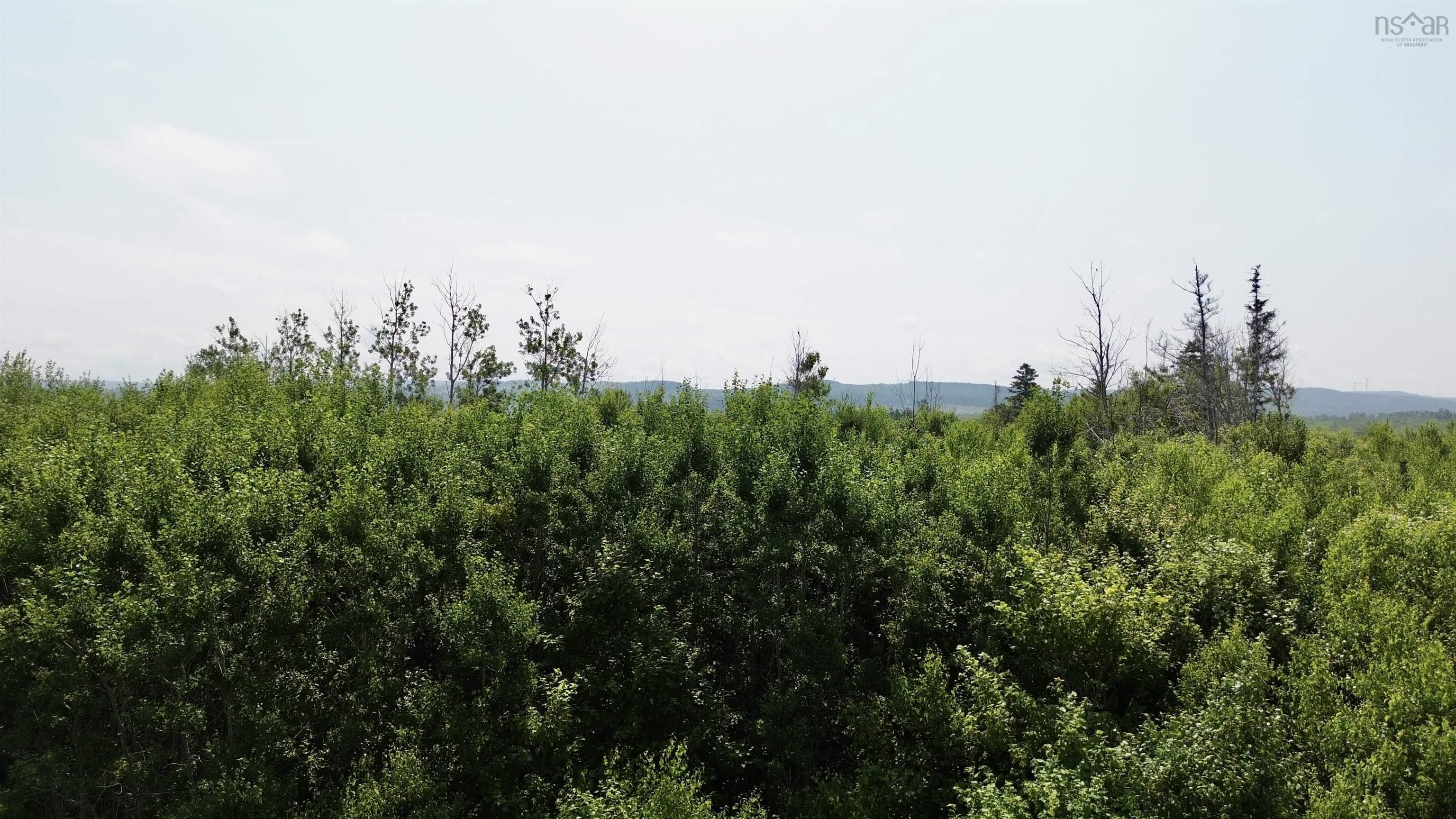 $115,000.00: lot 11 Red Rock Way Road, Lismore