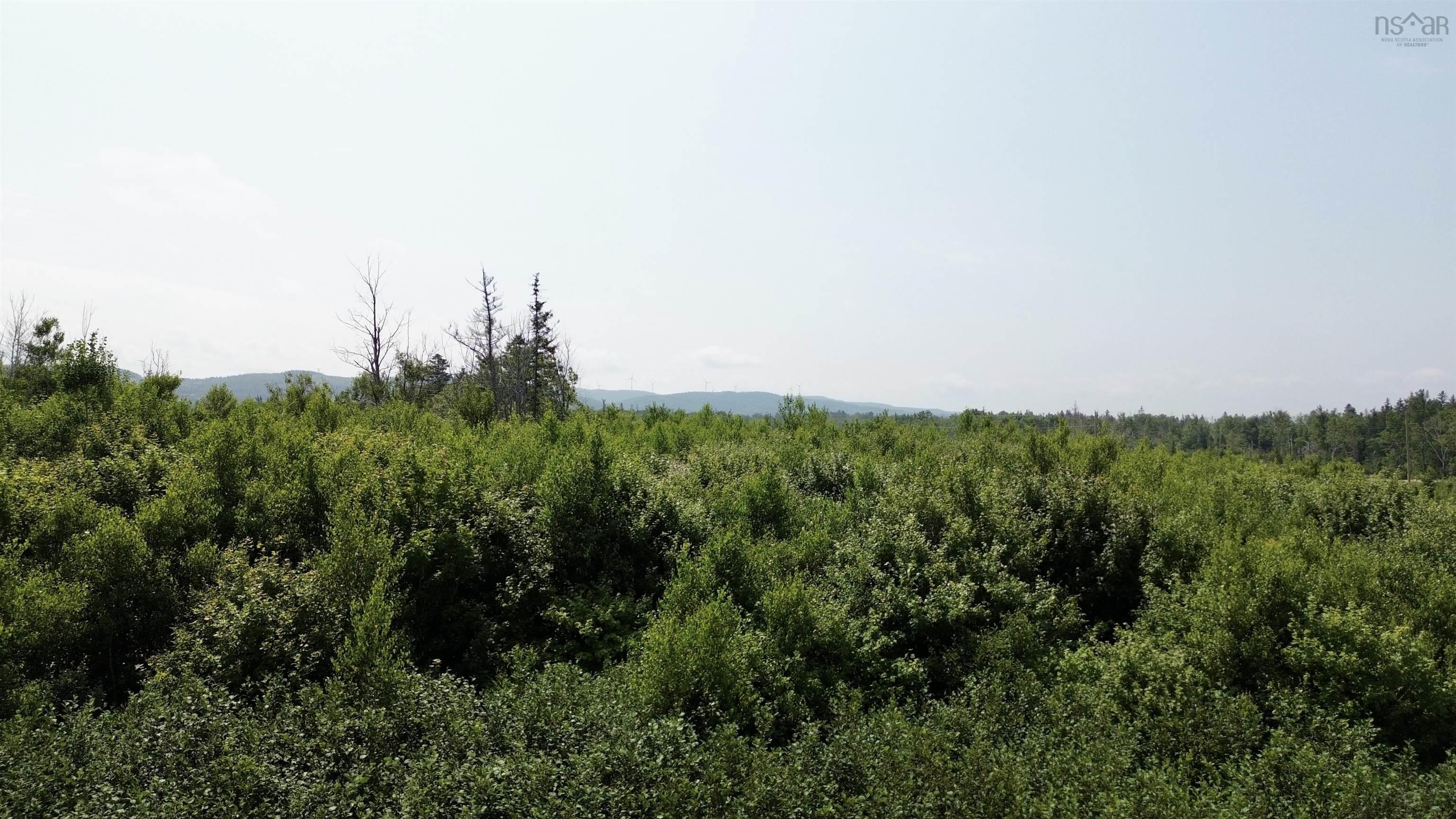 $115,000.00: lot 11 Red Rock Way Road, Lismore