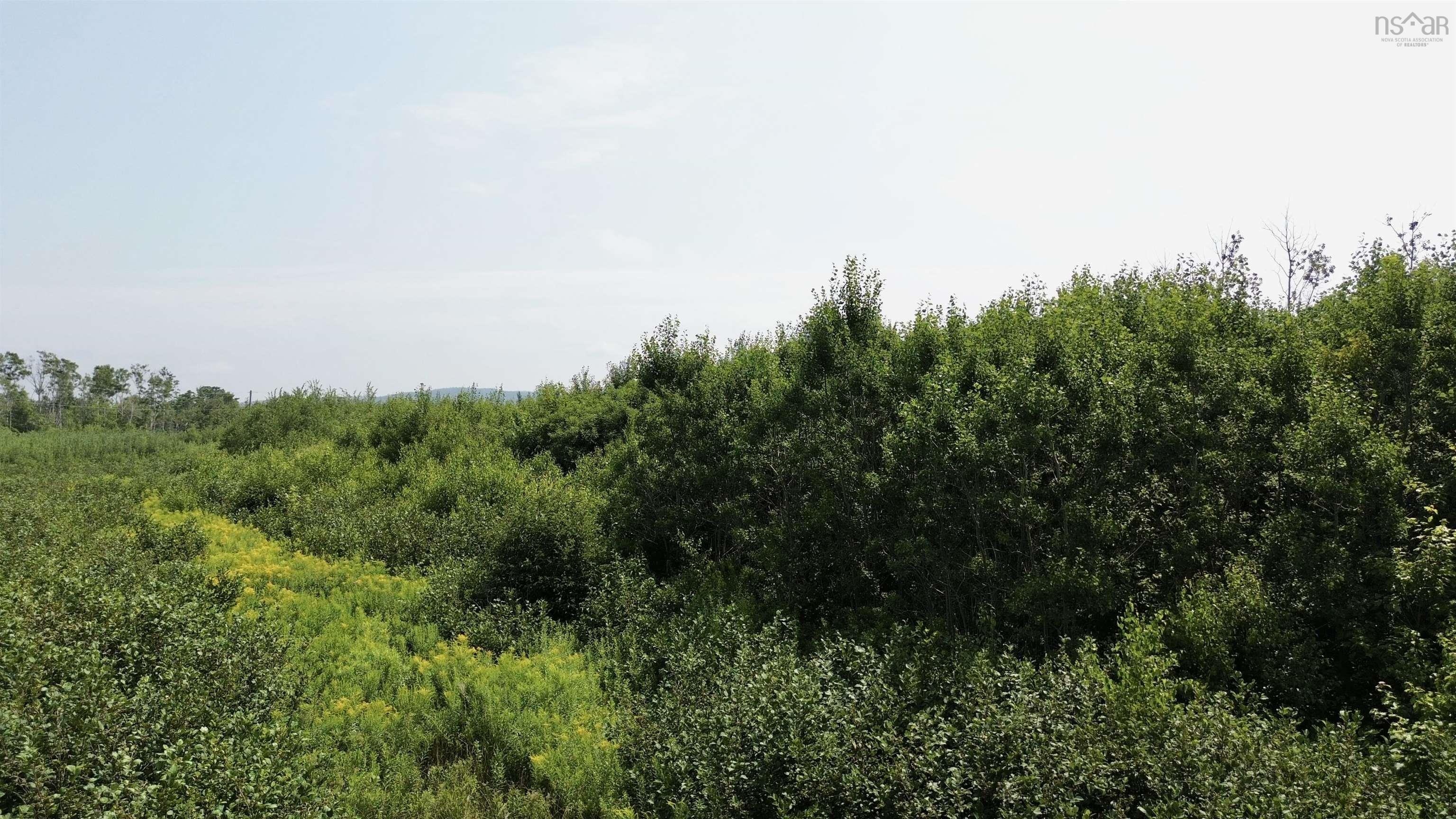 $115,000.00: lot 11 Red Rock Way Road, Lismore