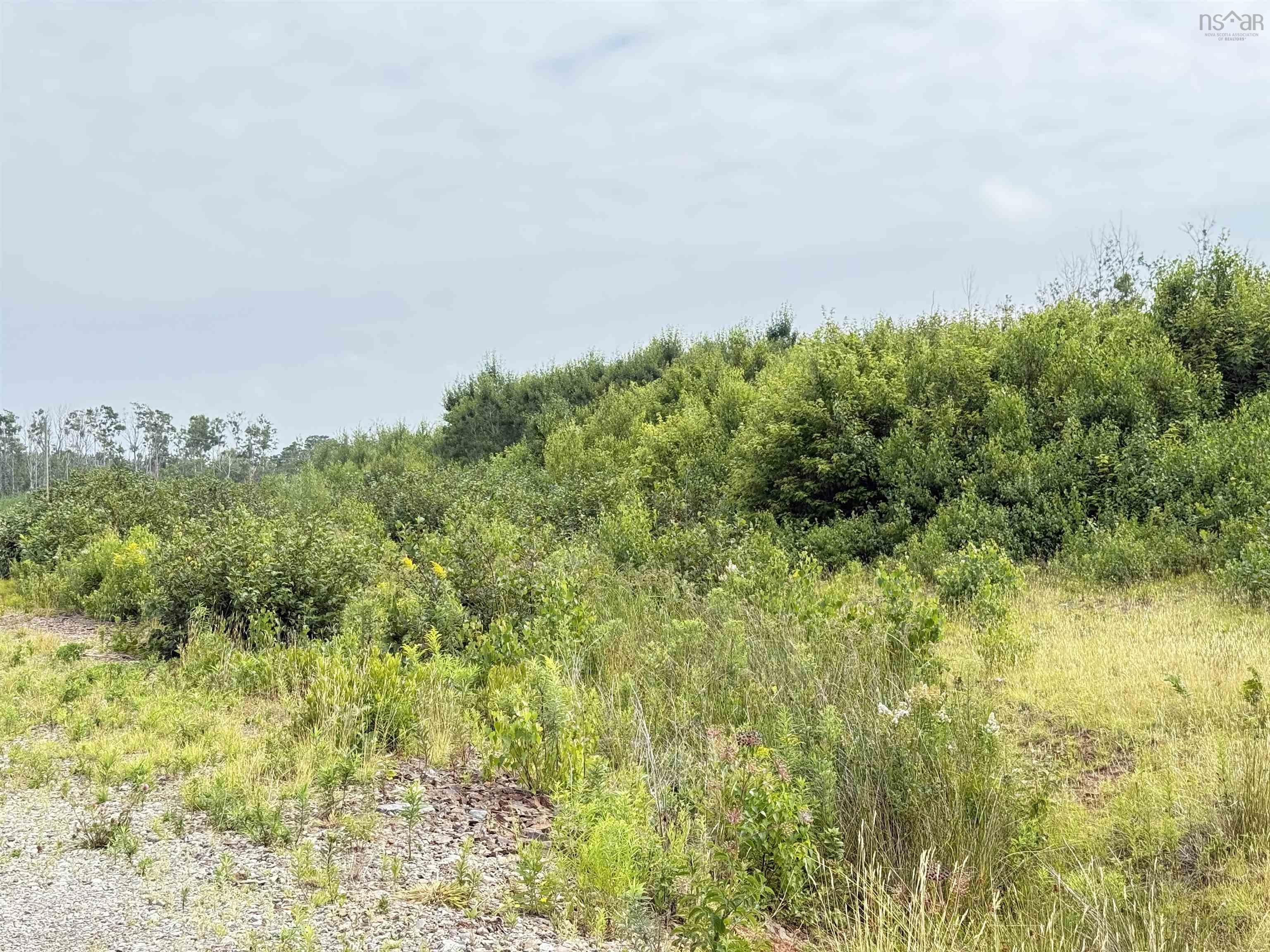 $110,000.00: lot 12 Red Rock Way Road, Lismore