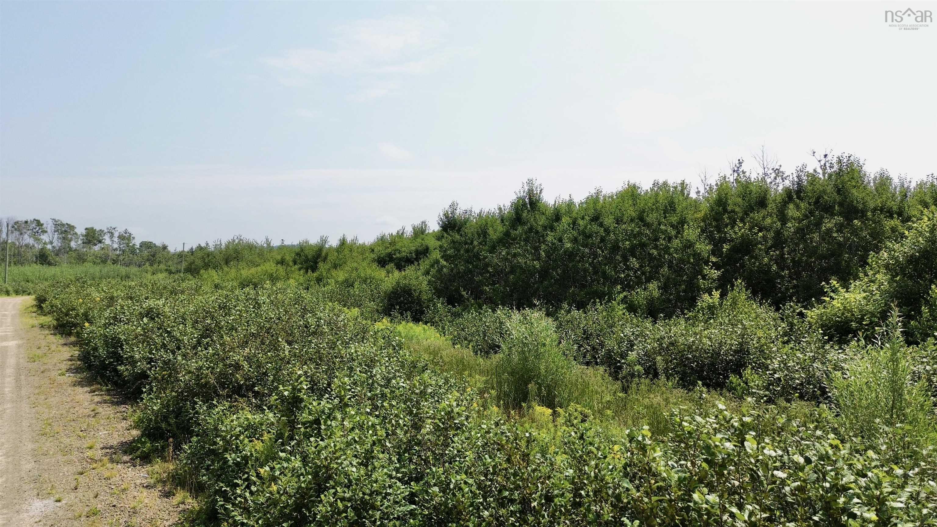 $110,000.00: lot 12 Red Rock Way Road, Lismore