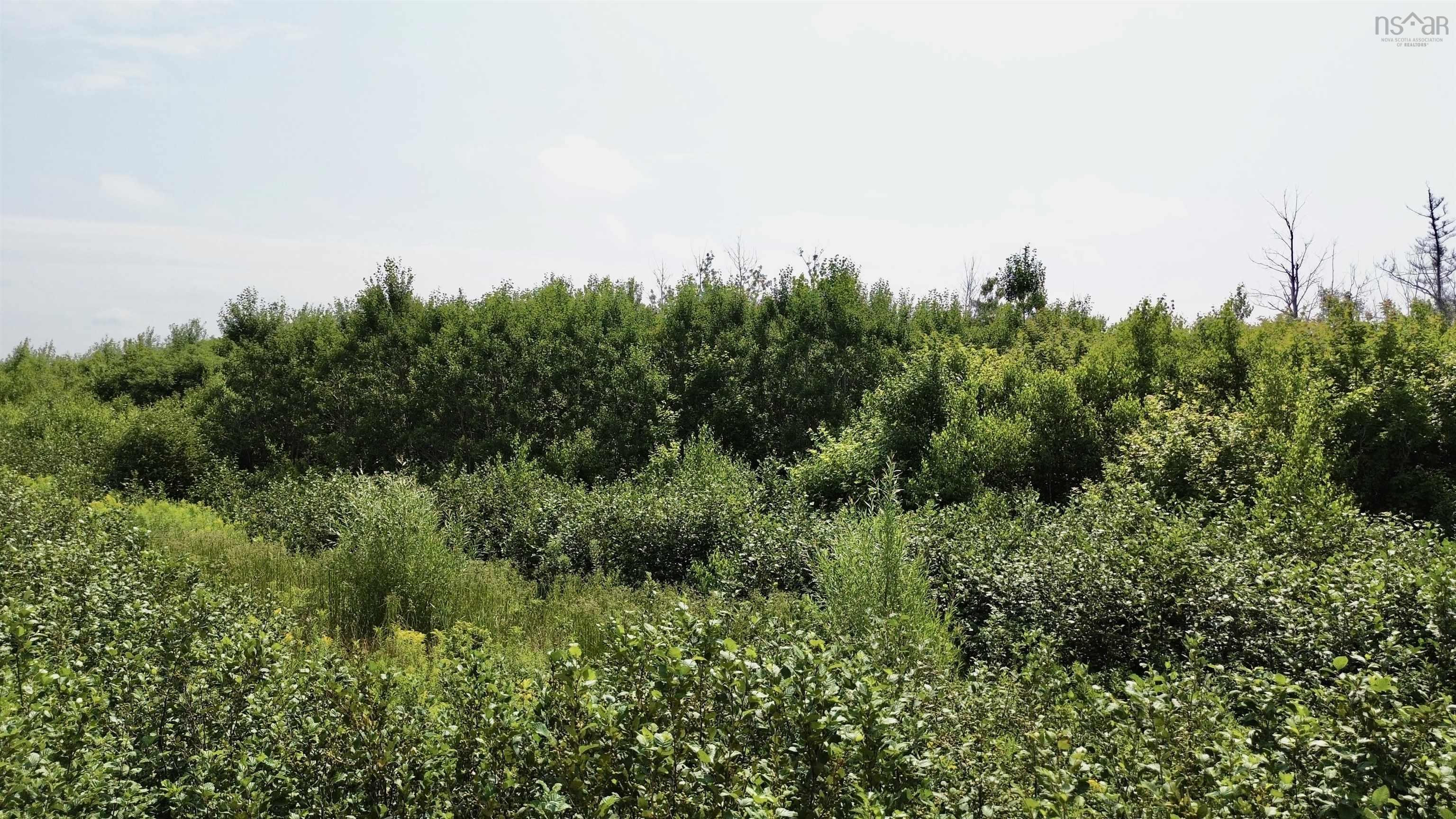 $110,000.00: lot 12 Red Rock Way Road, Lismore