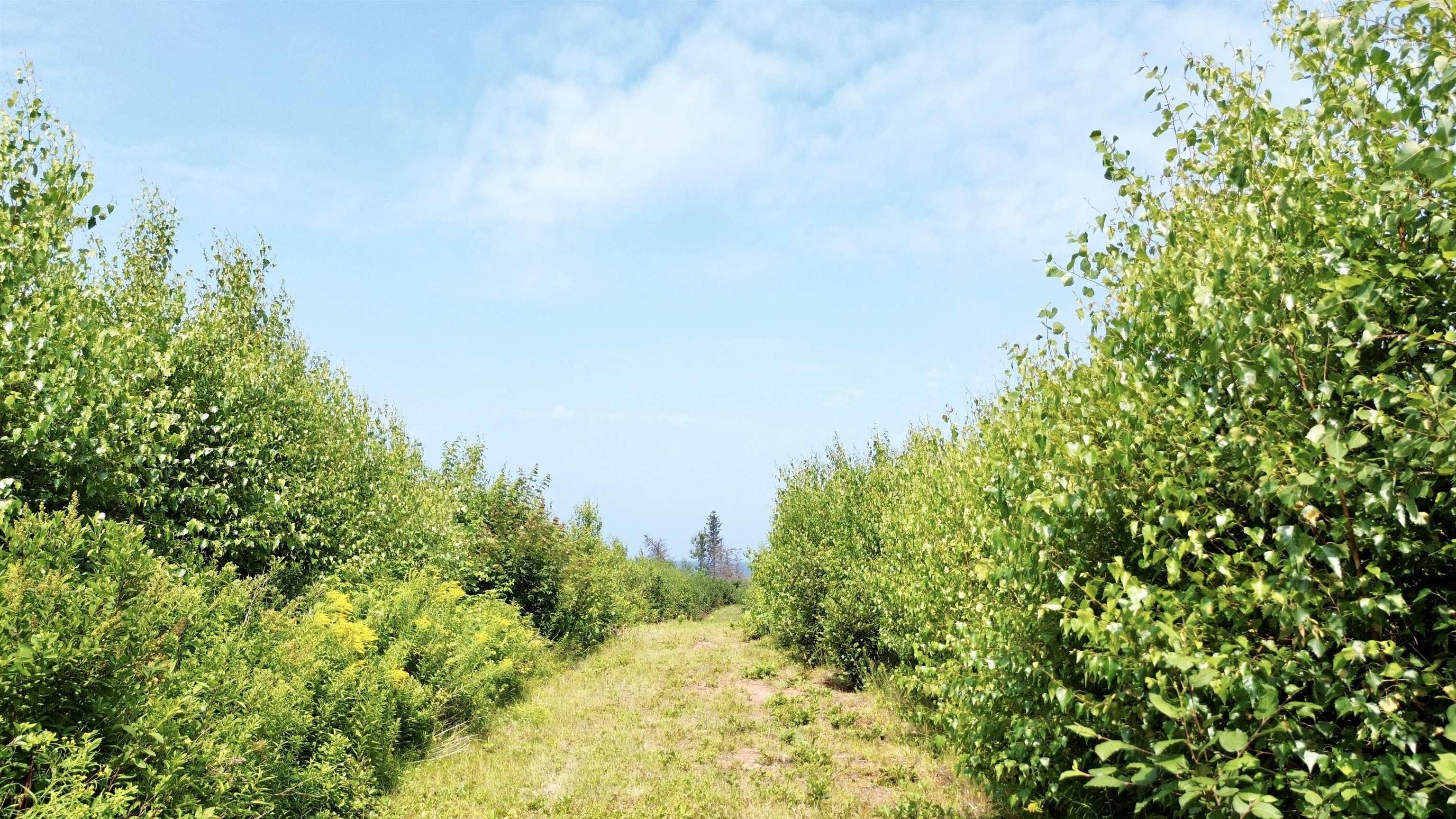 $110,000.00: lot 12 Red Rock Way Road, Lismore