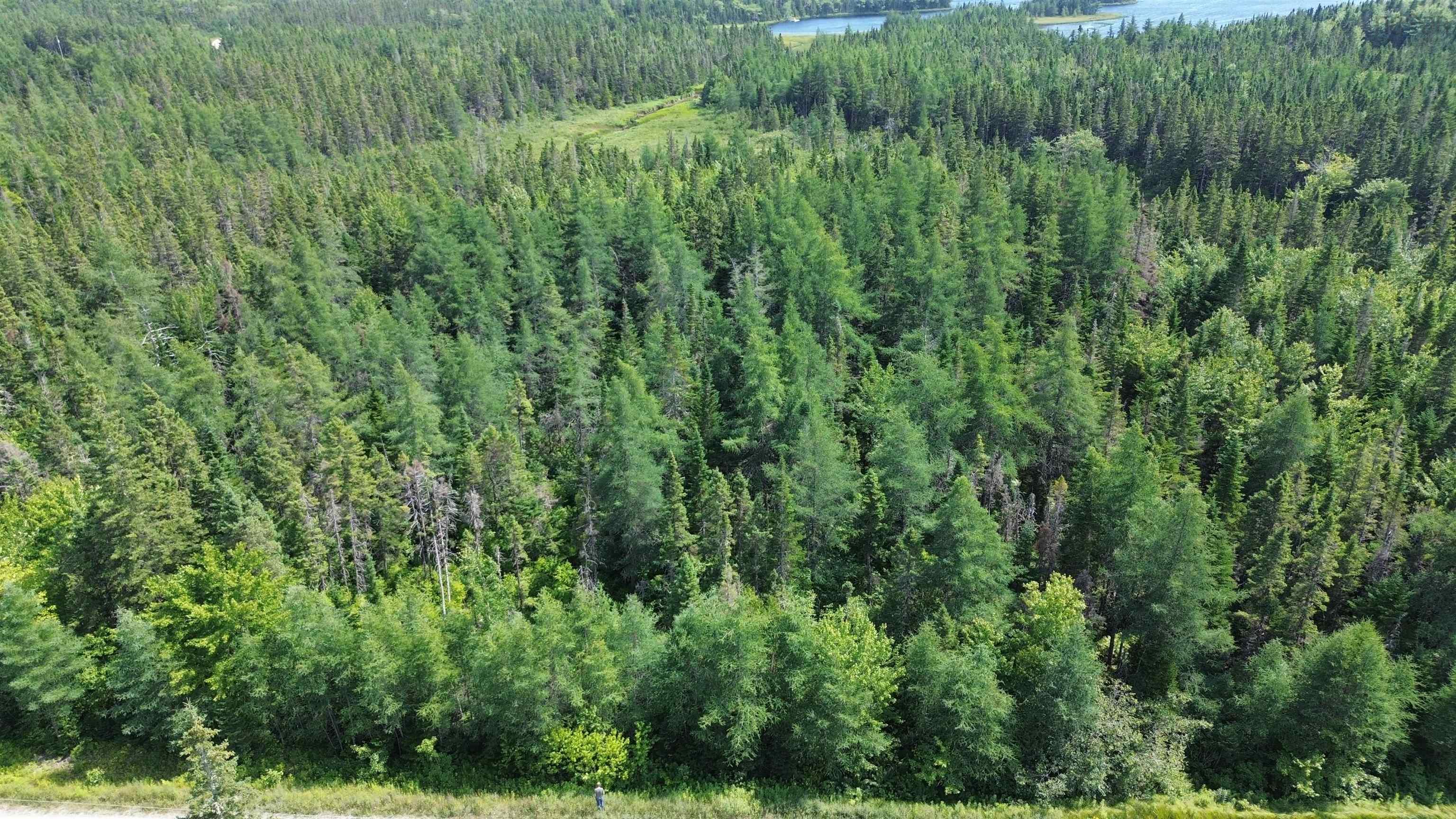 $19,500.00: Lot 54 Highway 4, Kempt Road, Cleveland