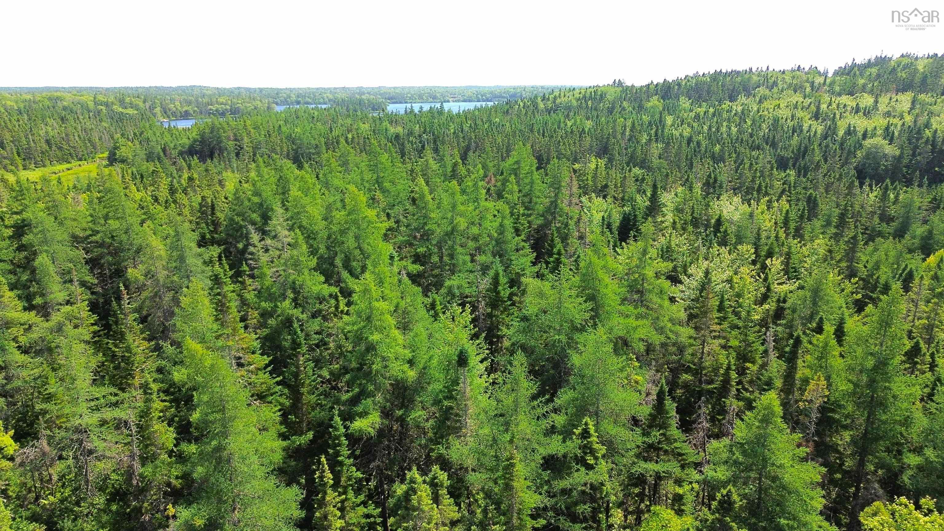 $19,500.00: Lot 54 Highway 4, Kempt Road, Cleveland