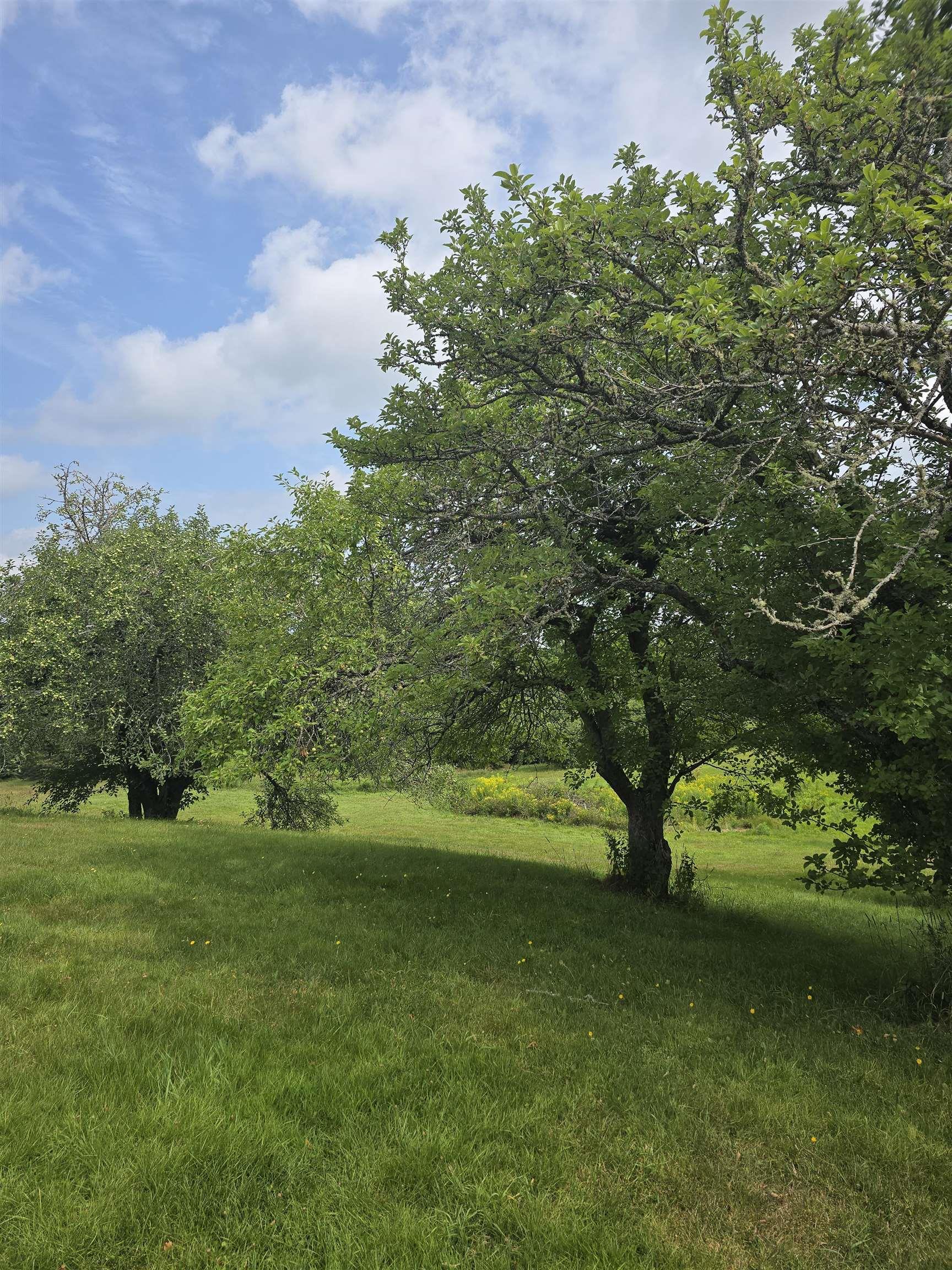 $349,000.00: 1212 Ohio East Rd, Ohio