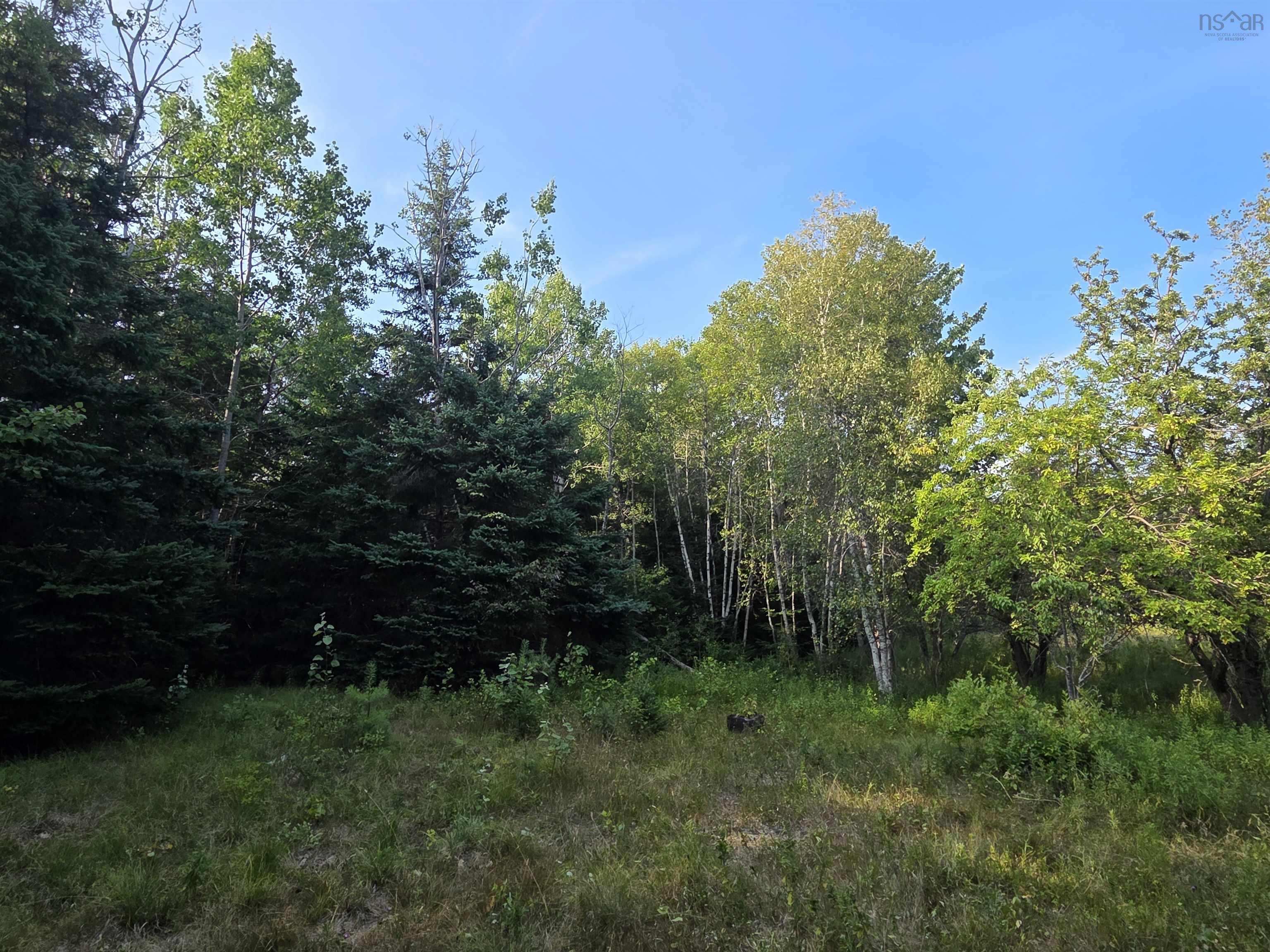 $59,000.00: 100 Oldham Mines Road, Oldham