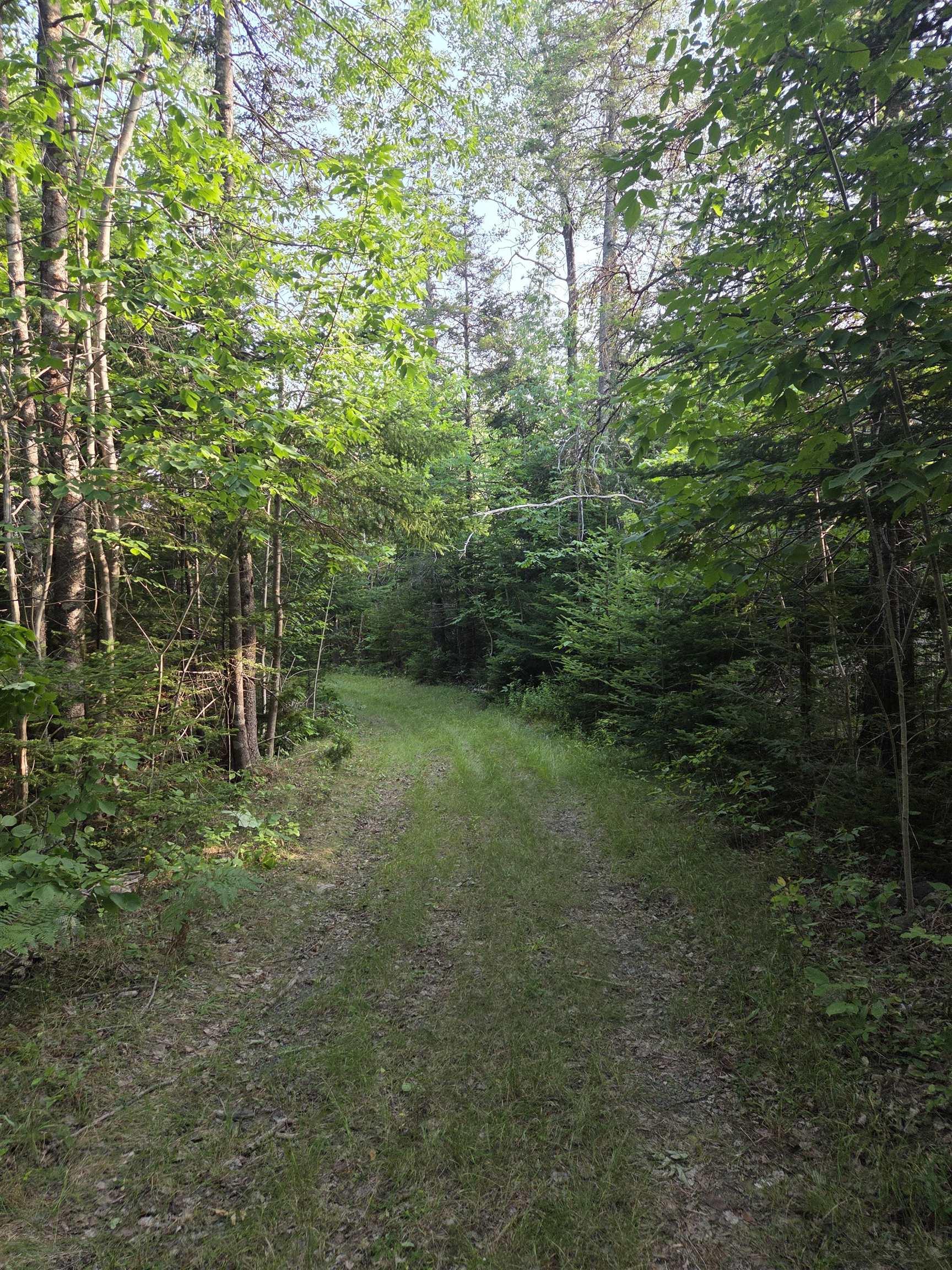 $59,000.00: 100 Oldham Mines Road, Oldham