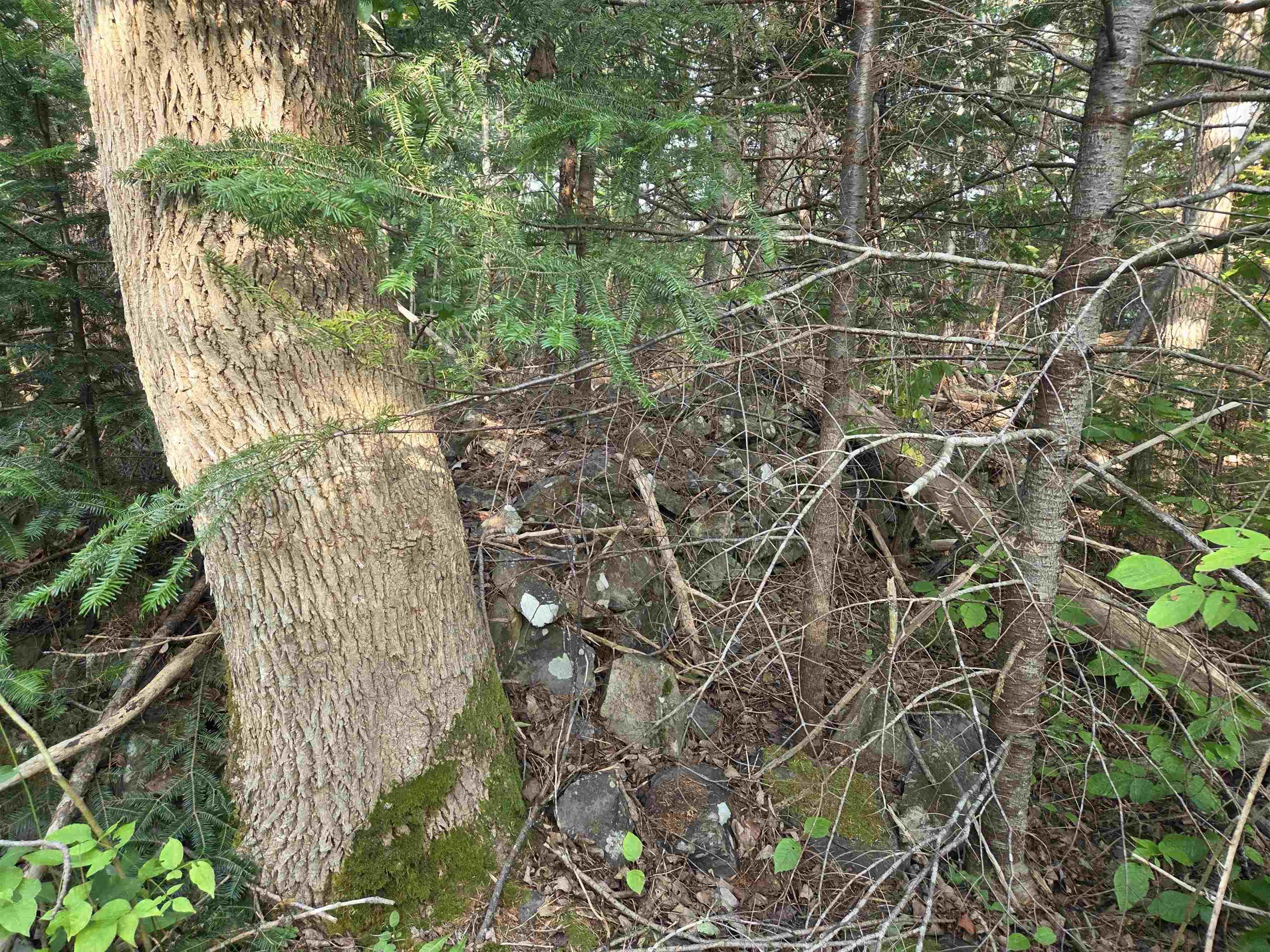 $59,000.00: 100 Oldham Mines Road, Oldham