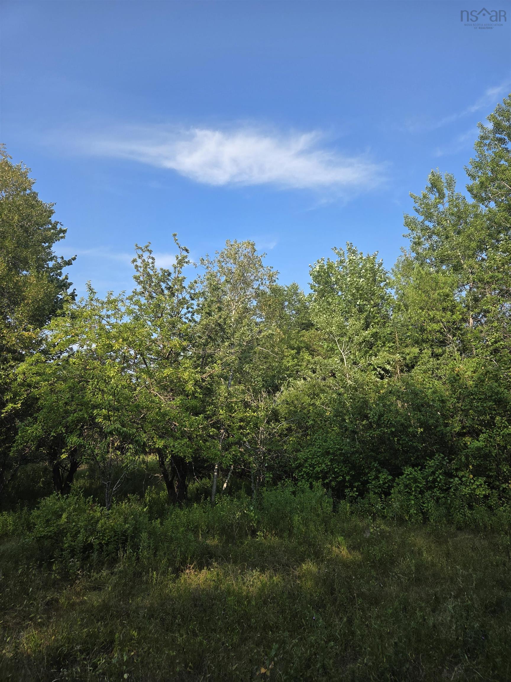 $59,000.00: 100 Oldham Mines Road, Oldham