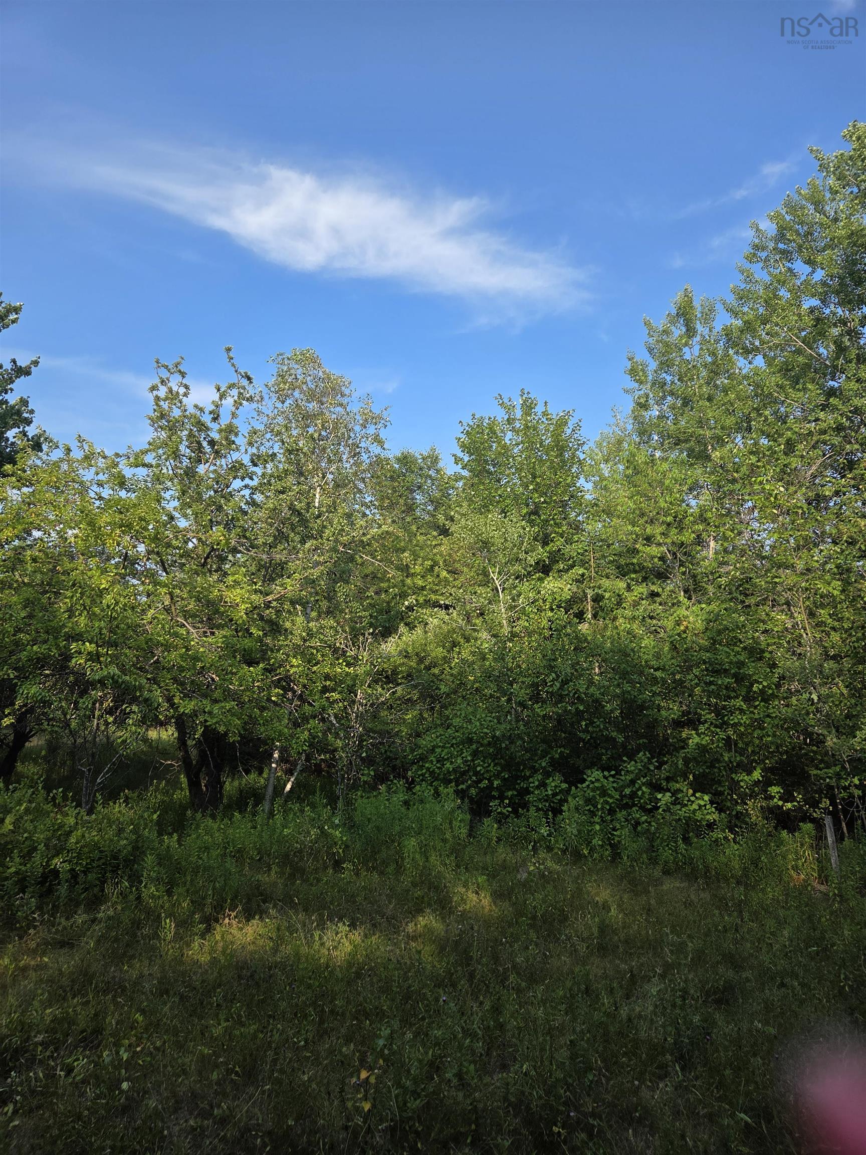 $59,000.00: 100 Oldham Mines Road, Oldham