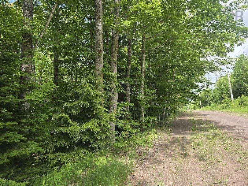 56 Acres Highway 256, East Earltown, NS (MLS 202519226)