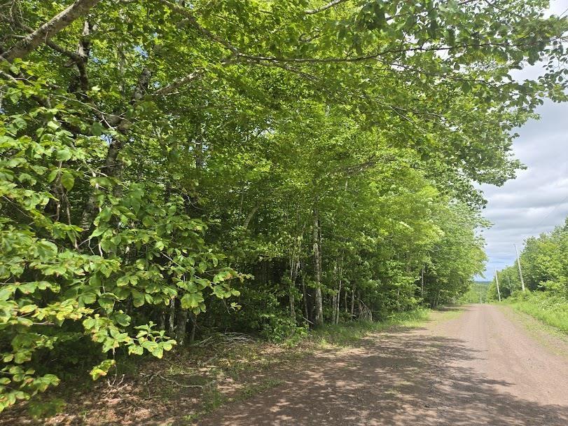 $89,000.00: 56 acres Highway 256, East Earltown