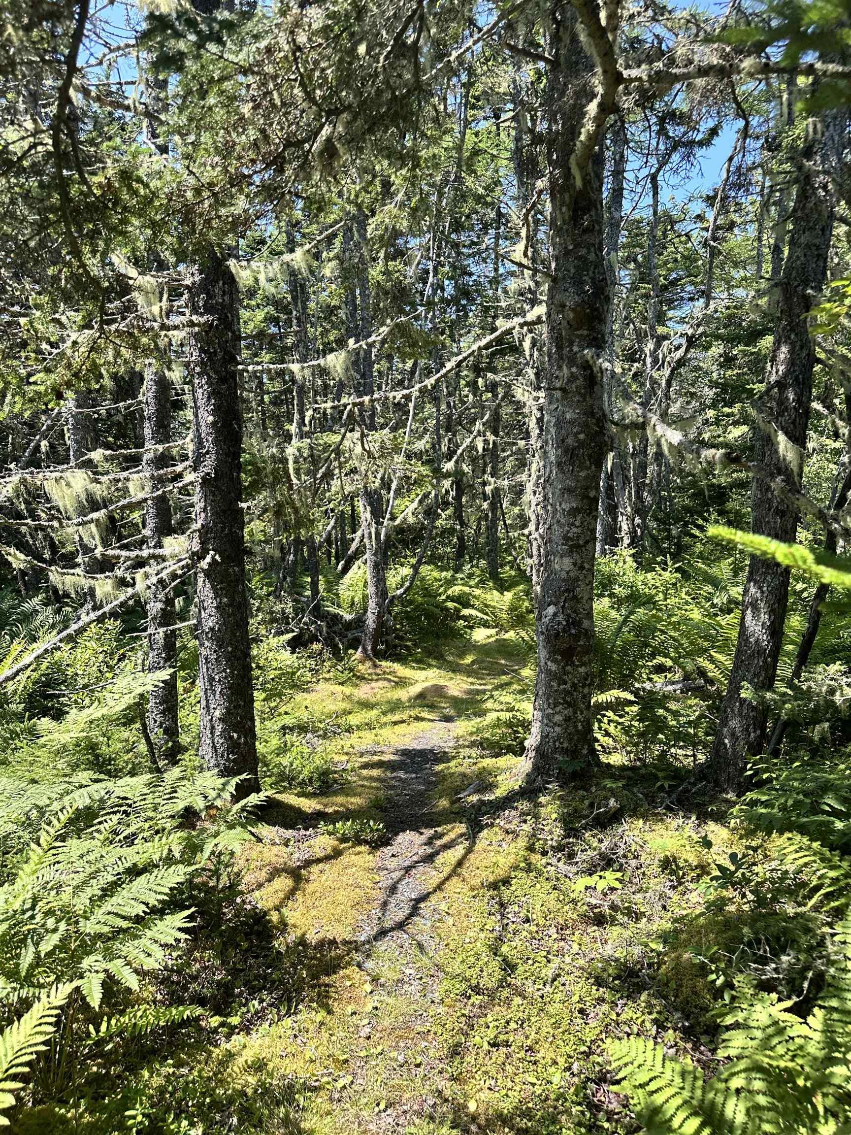 $495,000.00: 850 Rockland Road + 16 acres, East Side Of Ragged Island