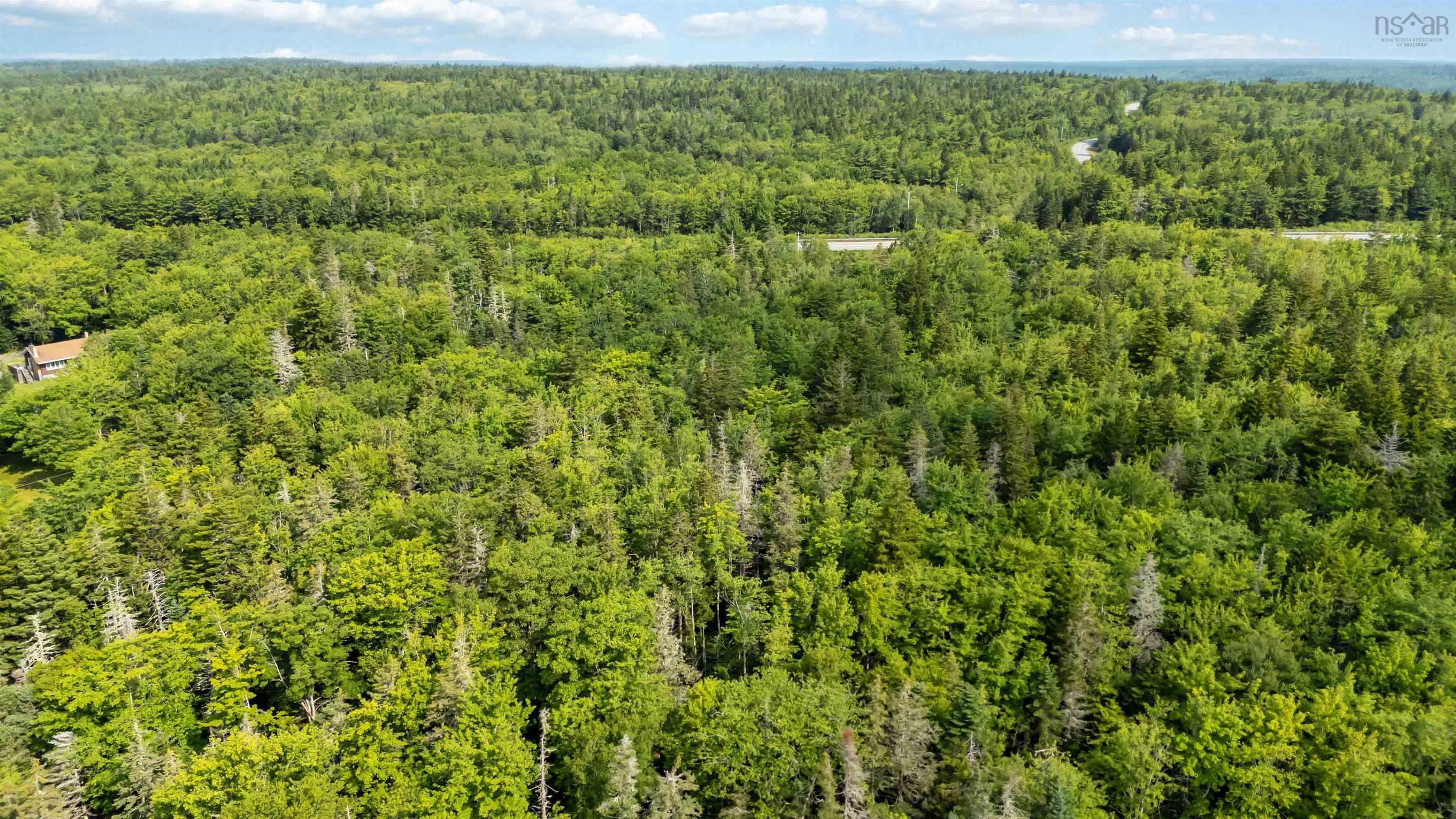 $65,000.00: Lot (PID 70055579) Beech Hill Road, Beech Hill