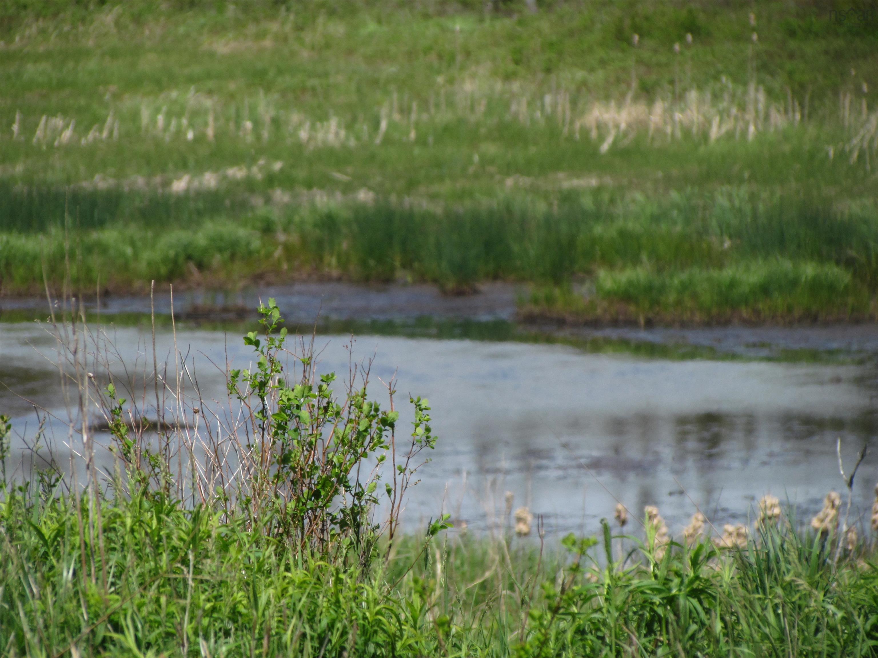 Lot R3 Three Fathom Harbour Road, Three Fathom Harbour, NS (MLS 202519260)