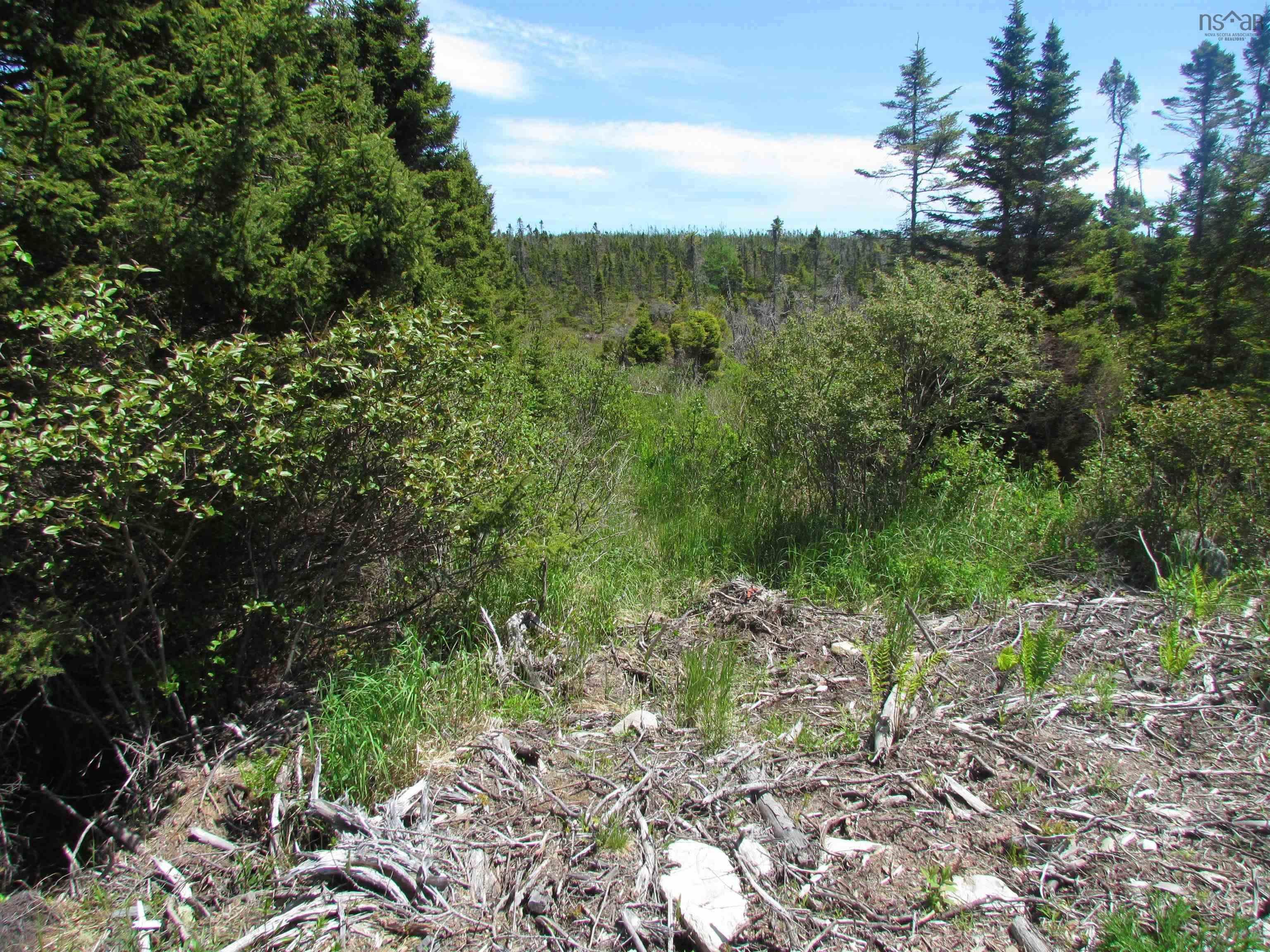 Lot R3 Three Fathom Harbour Road, Three Fathom Harbour, NS (MLS 202519260)