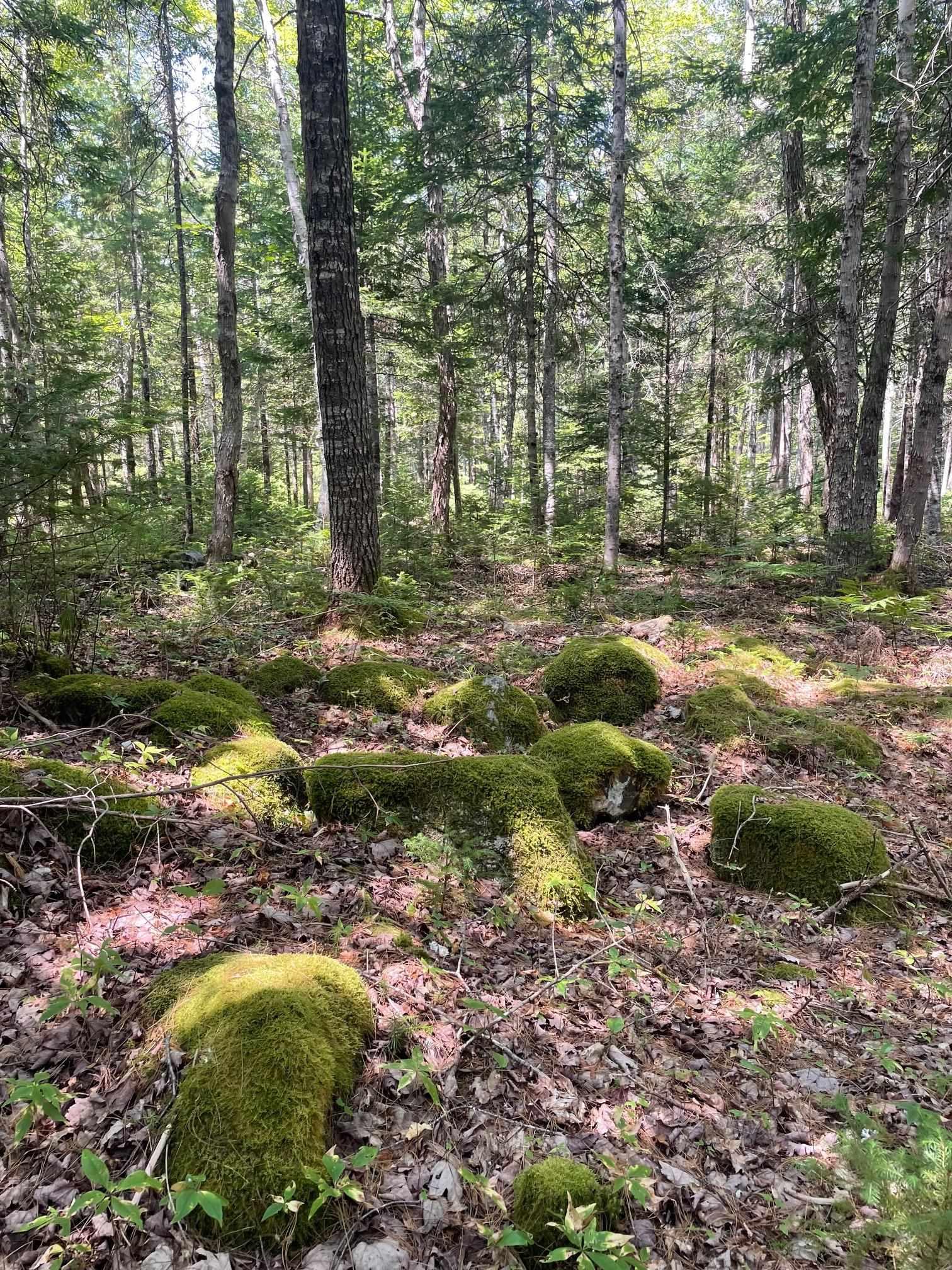 $329,900.00: 960 Highway 208, Simpsons Corner