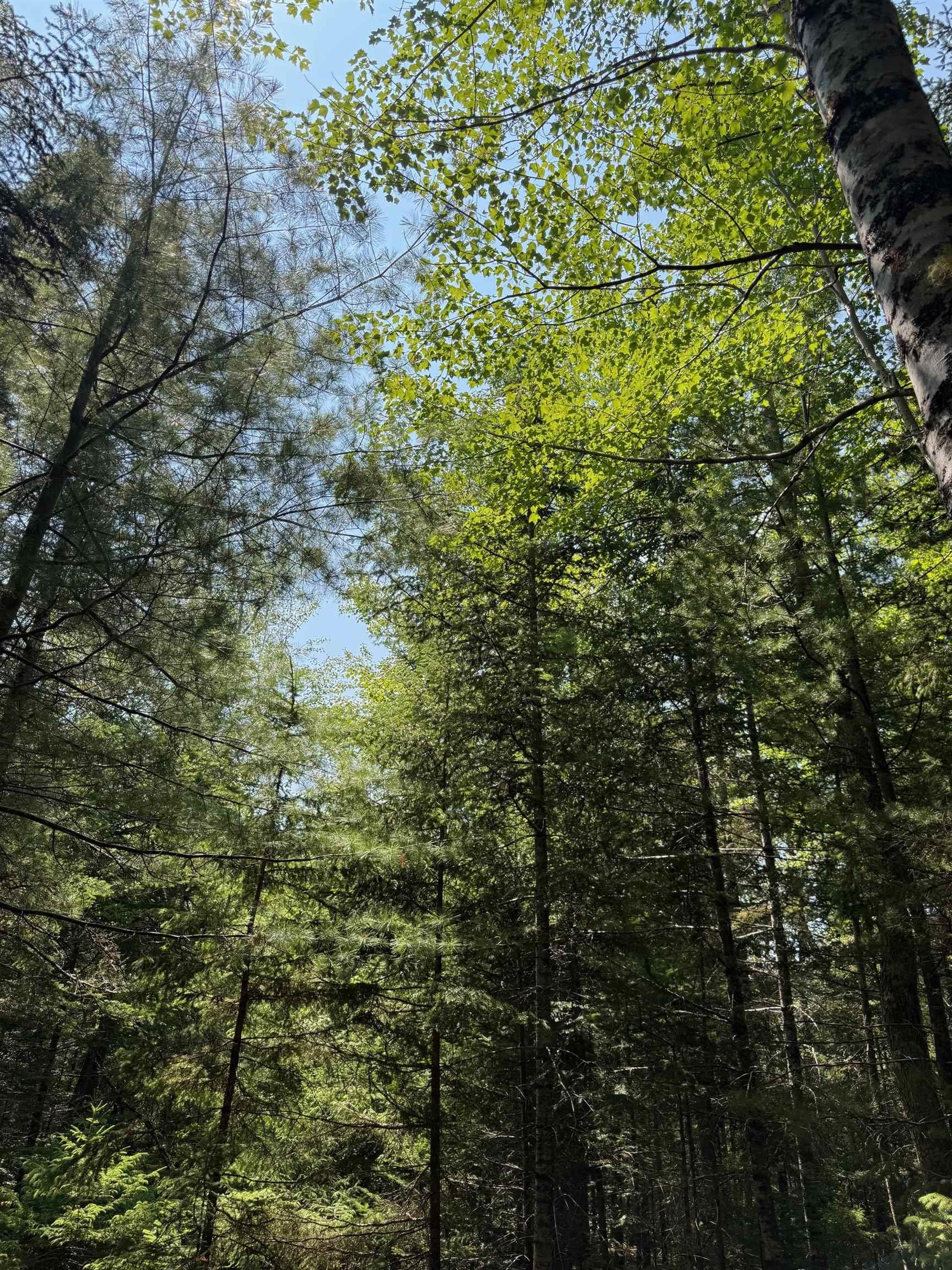 $329,900.00: 960 Highway 208, Simpsons Corner