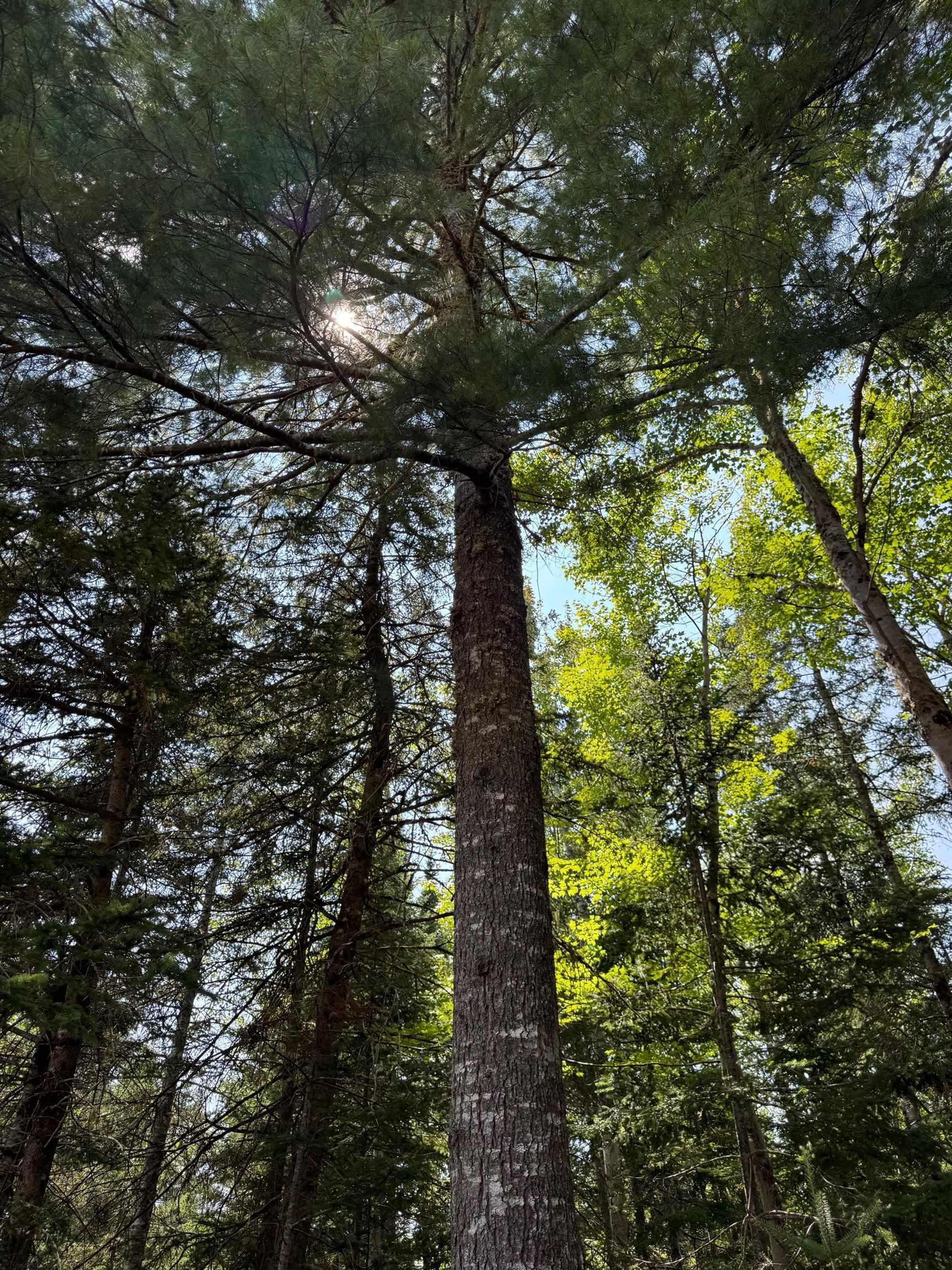 $329,900.00: 960 Highway 208, Simpsons Corner