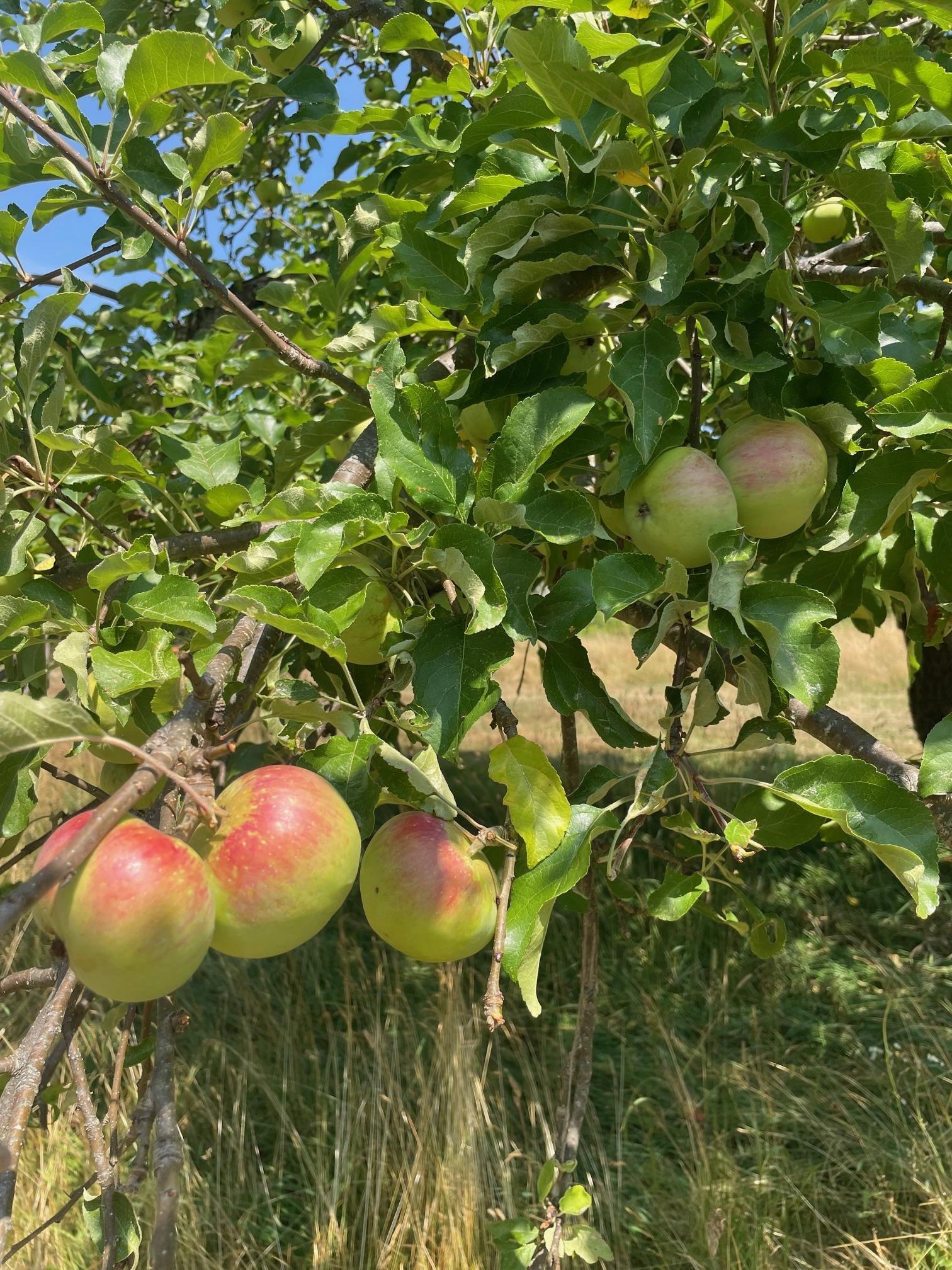 $329,900.00: 960 Highway 208, Simpsons Corner