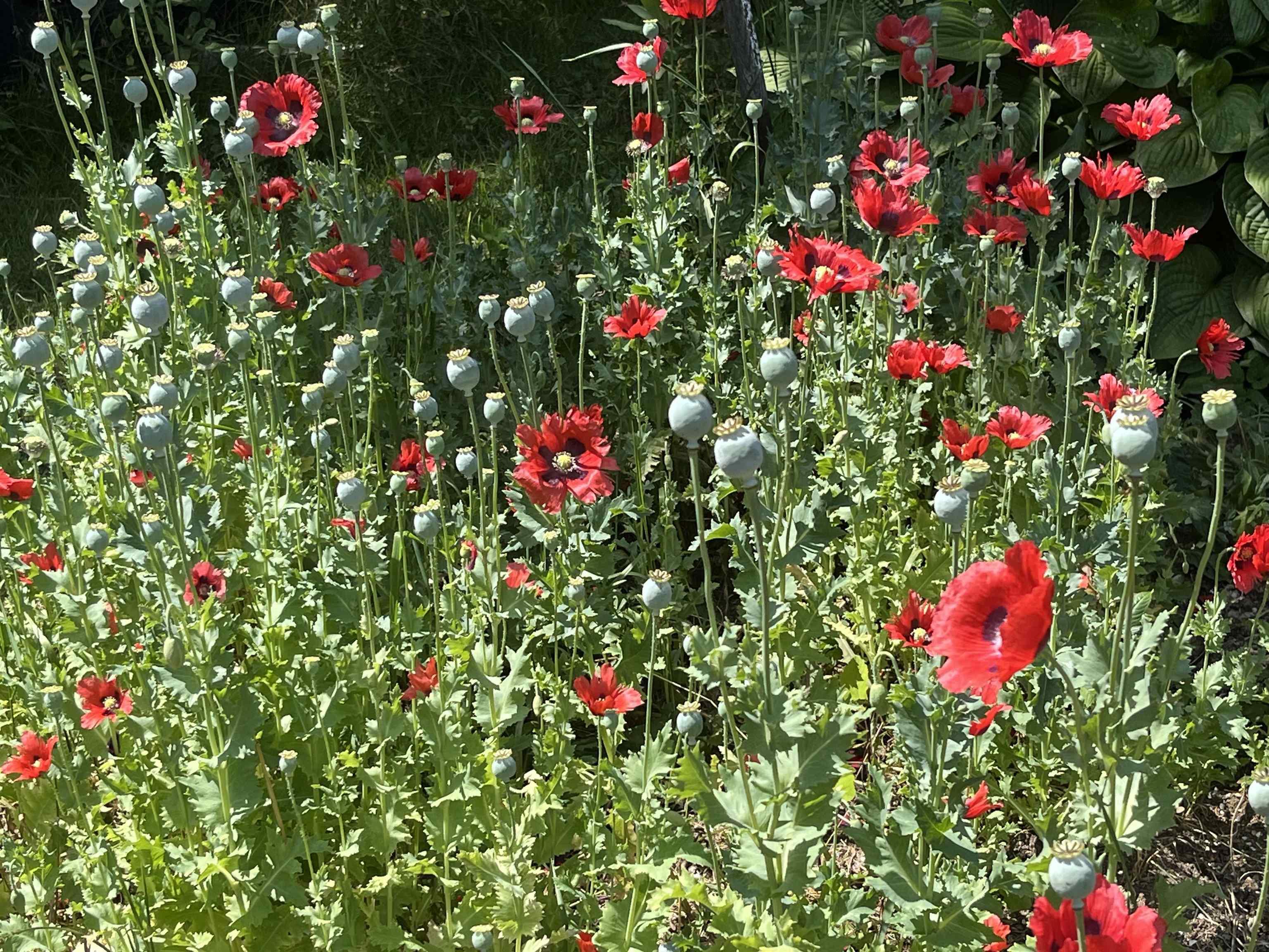 $319,000.00: 7787 Highway 209, Brookville