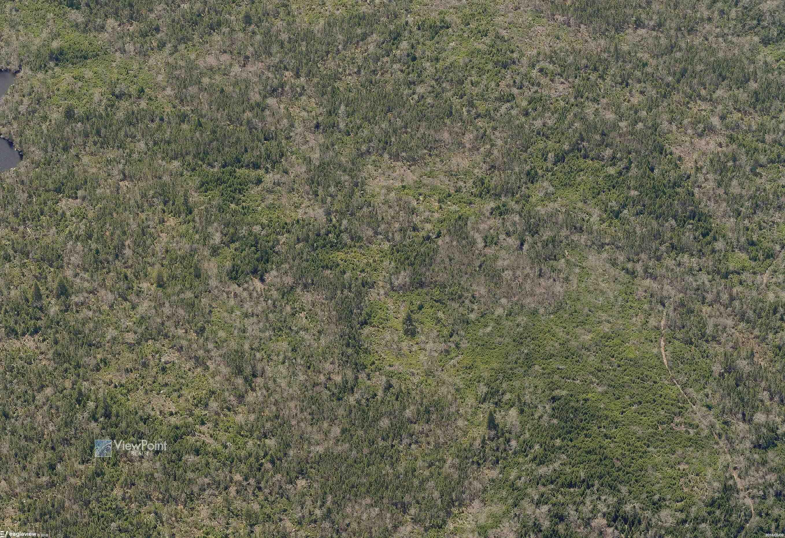 23339 Bennet Lake, Harrietsfield, NS (MLS 202519371)