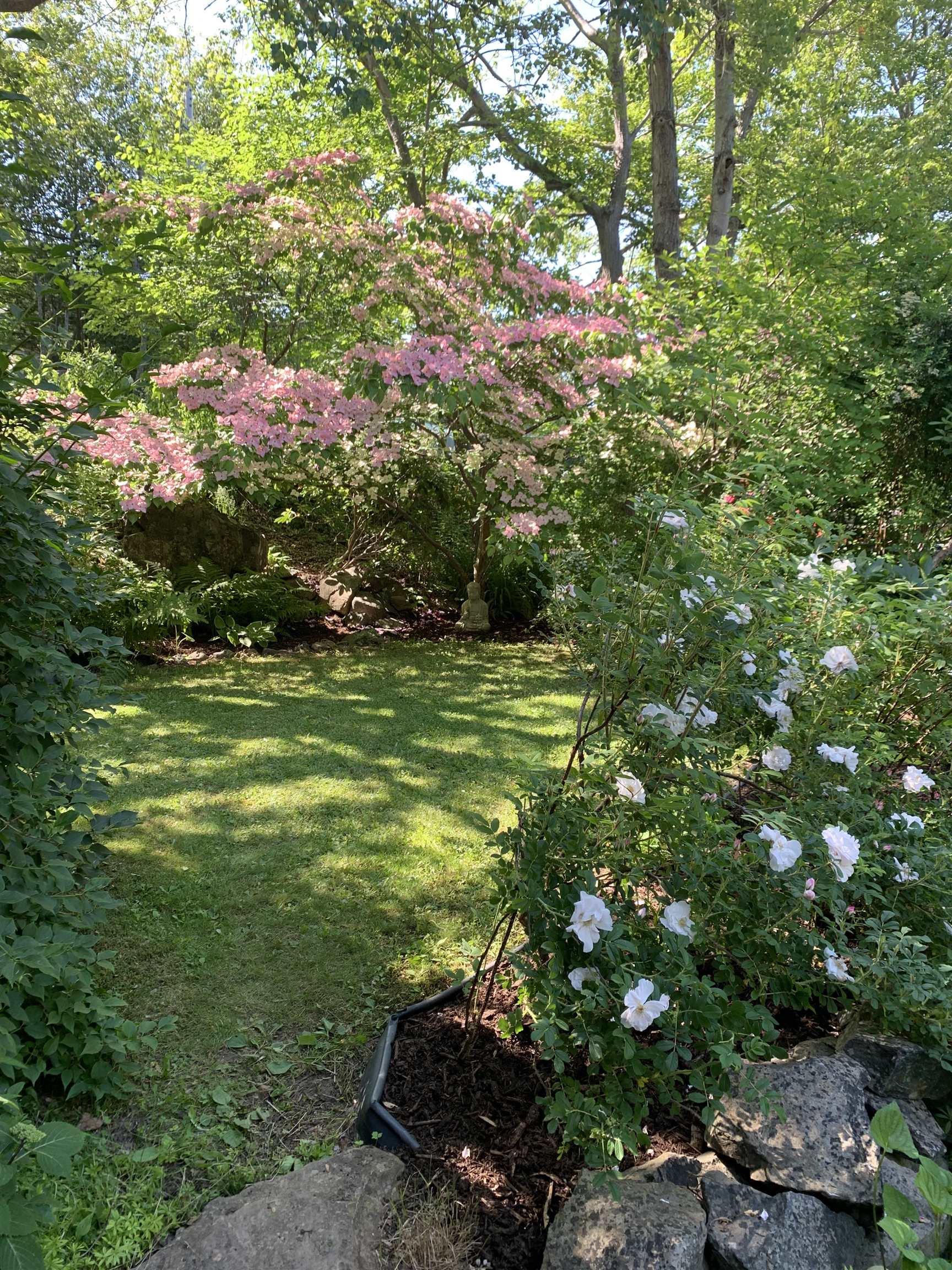 24 Hamshaw Drive, Halifax, NS (MLS 202519410)