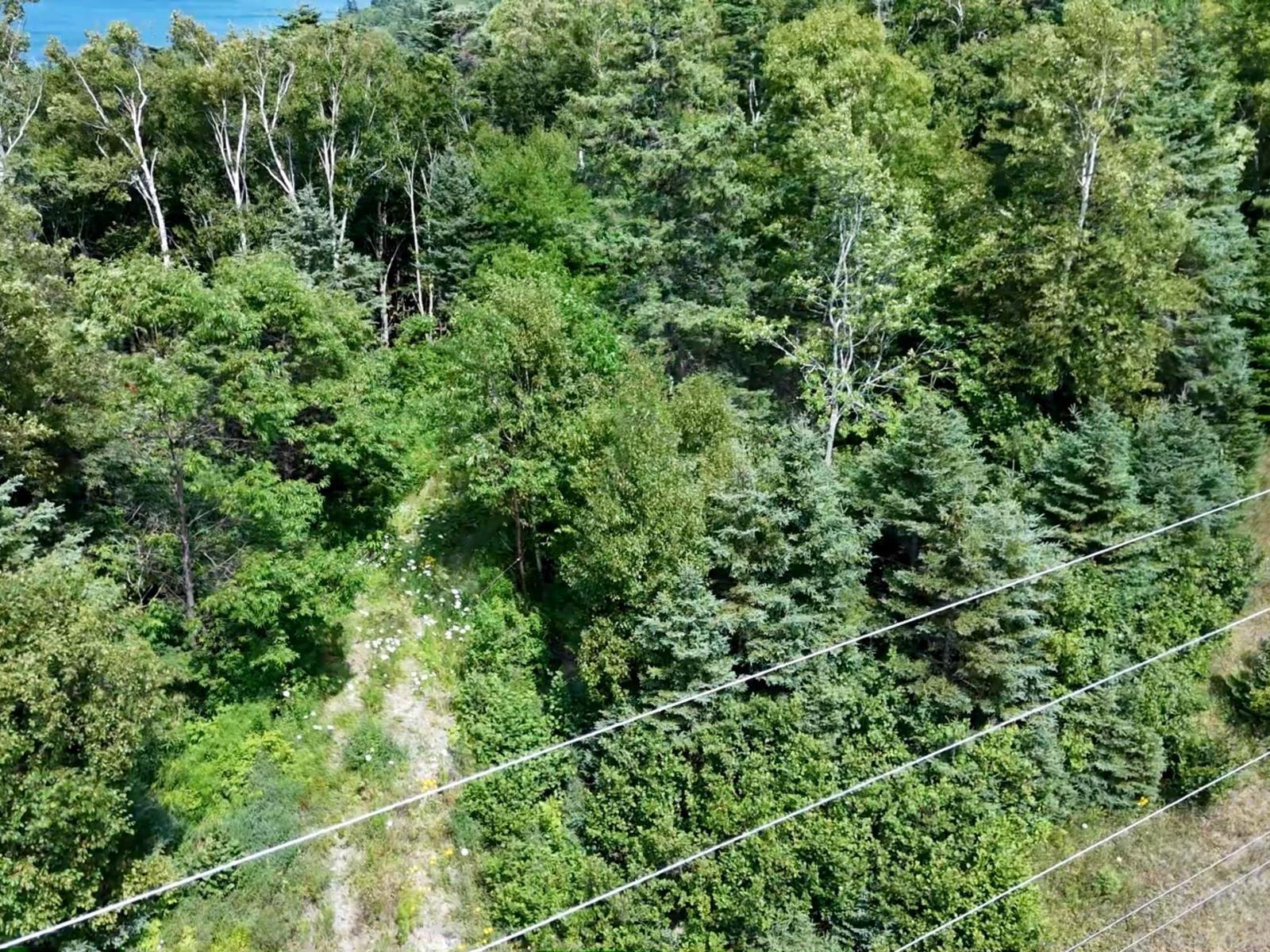 $49,000.00: Lot 7 Lakeshore Drive W, Irish Cove