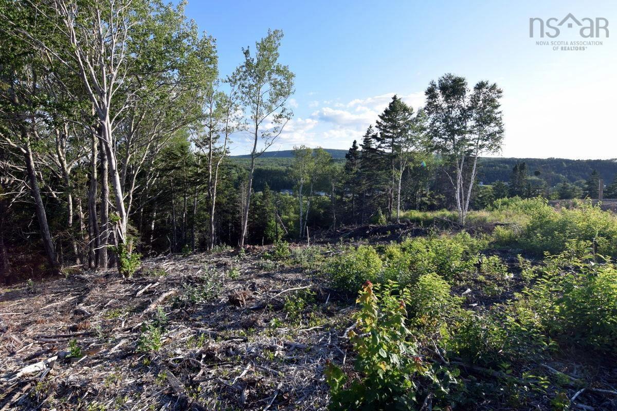 $75,000.00: Lot 23-2 Park Street, Inverness