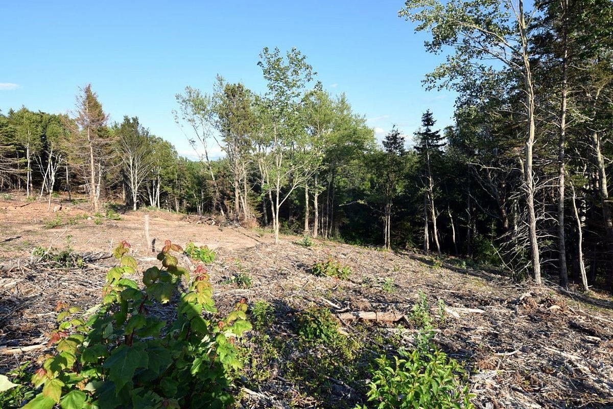 $75,000.00: Lot 23-2 Park Street, Inverness