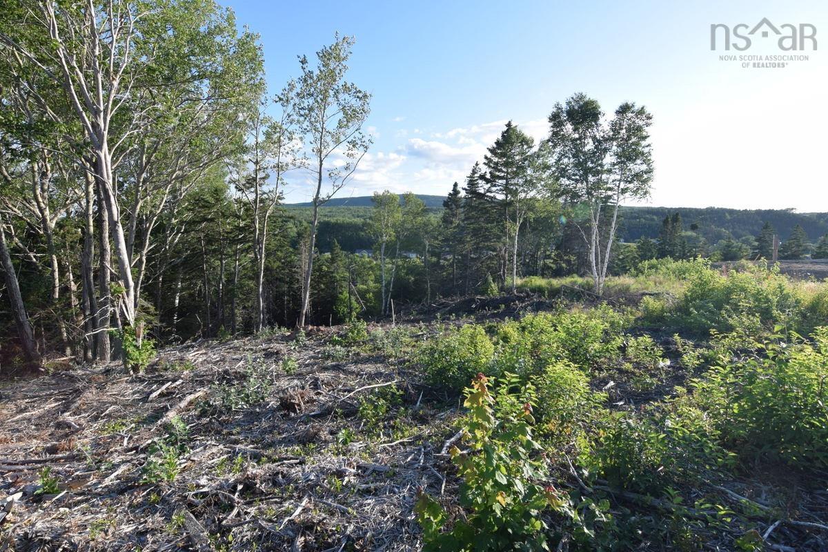 $75,000.00: Lot 23-2 Park Street, Inverness