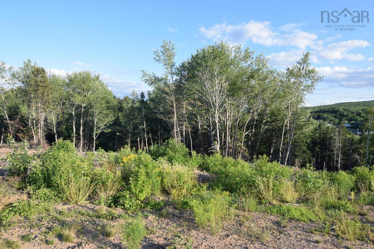 $75,000.00: Lot 23-2 Park Street, Inverness