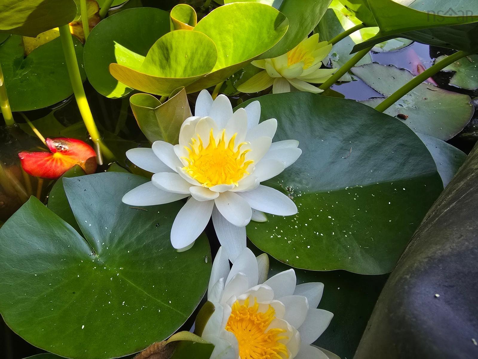 $449,900.00: 79 IRWIN HUBLEY Road, Seabright