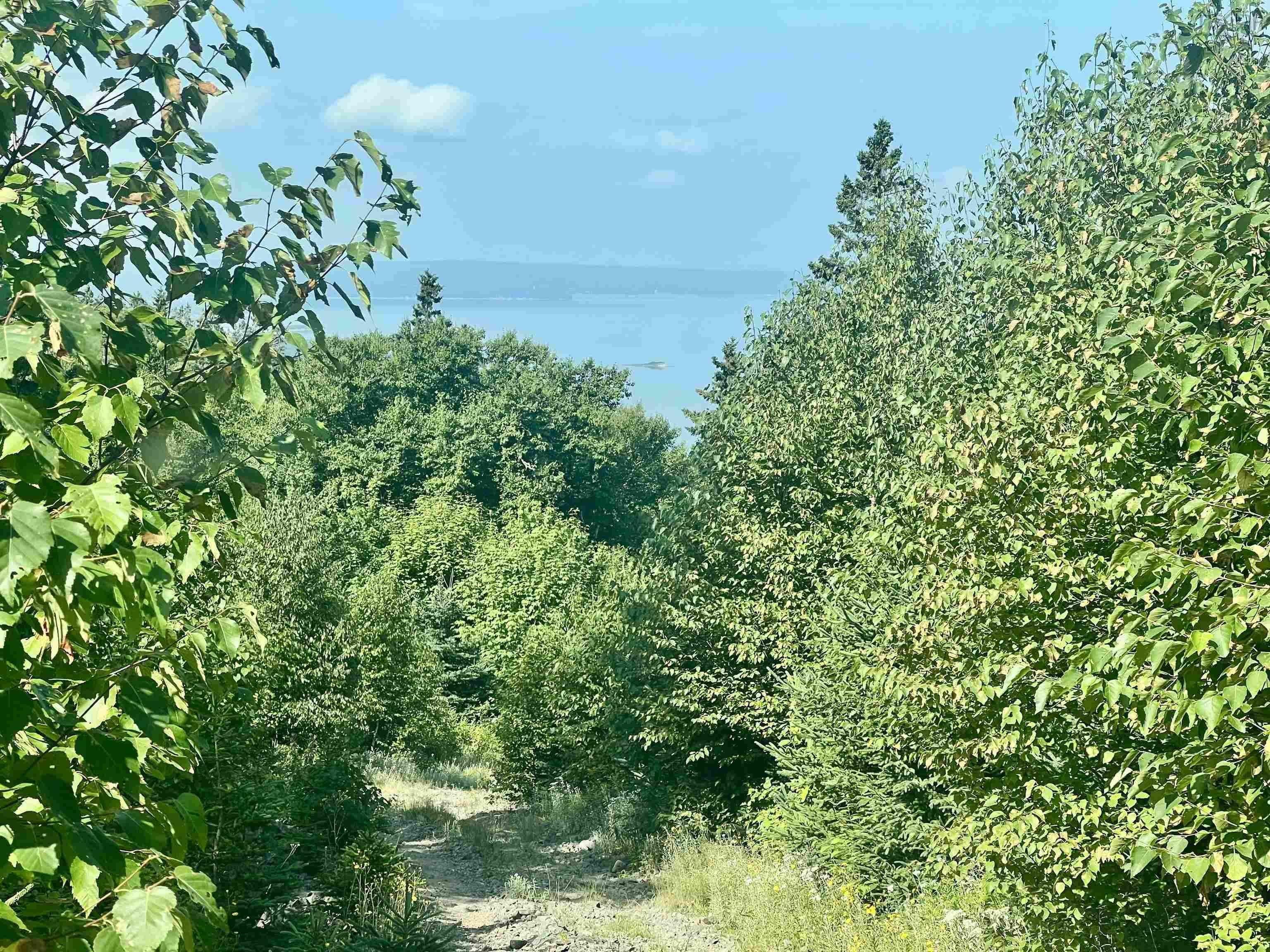$150,000.00: Settlers Bluff, St. Georges Channel